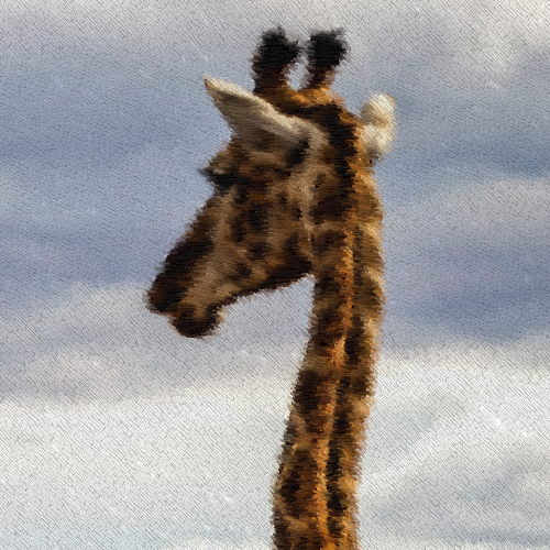 #003 Giraffe