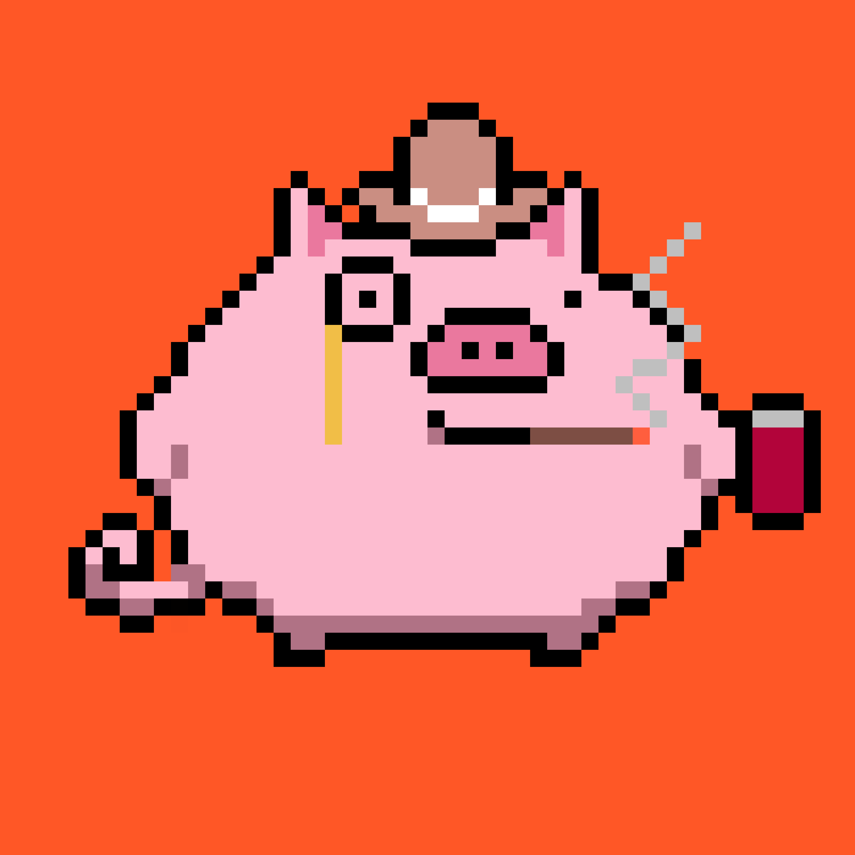 Pixel Pigs #45