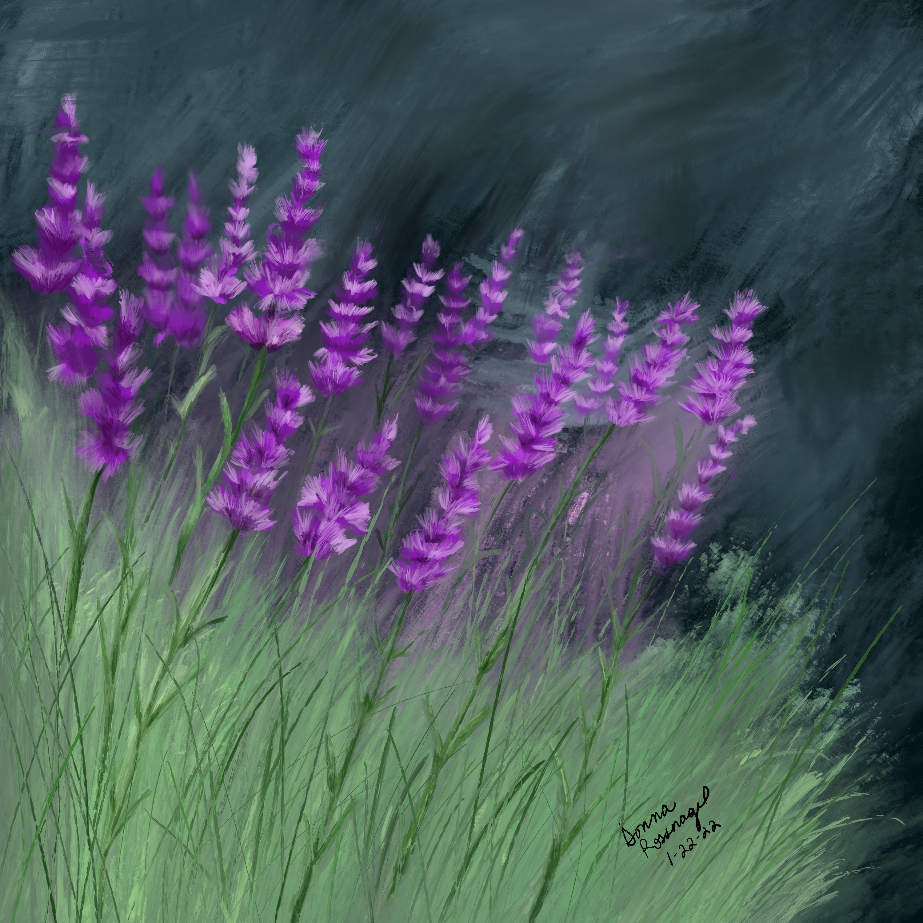 Lavender too 6