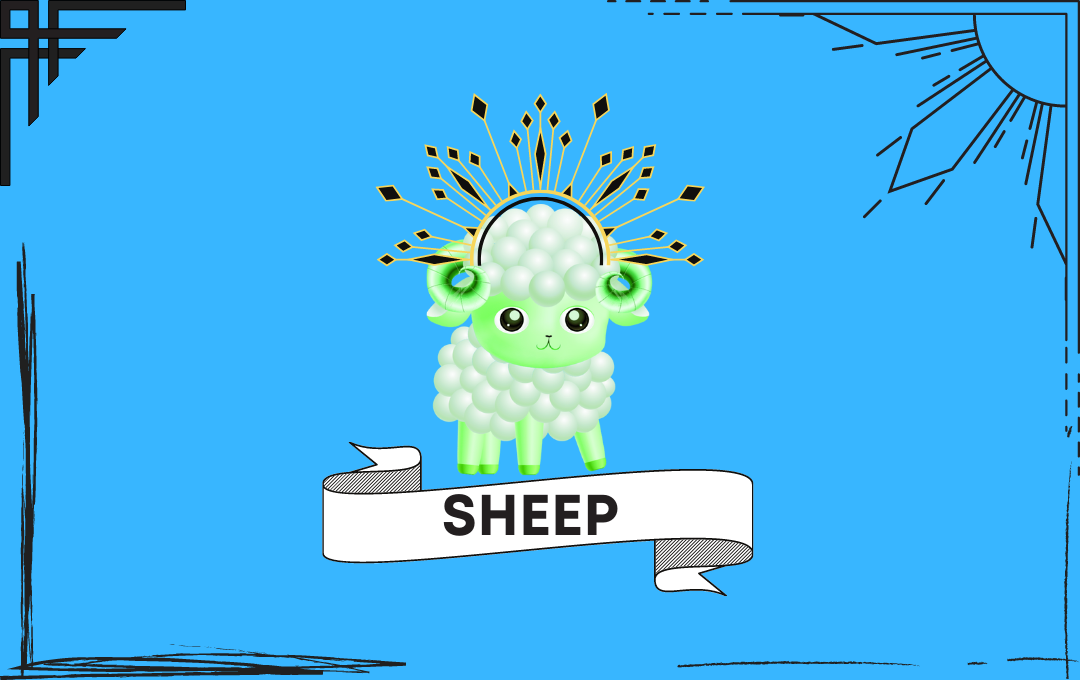 Sheep ! (1)
