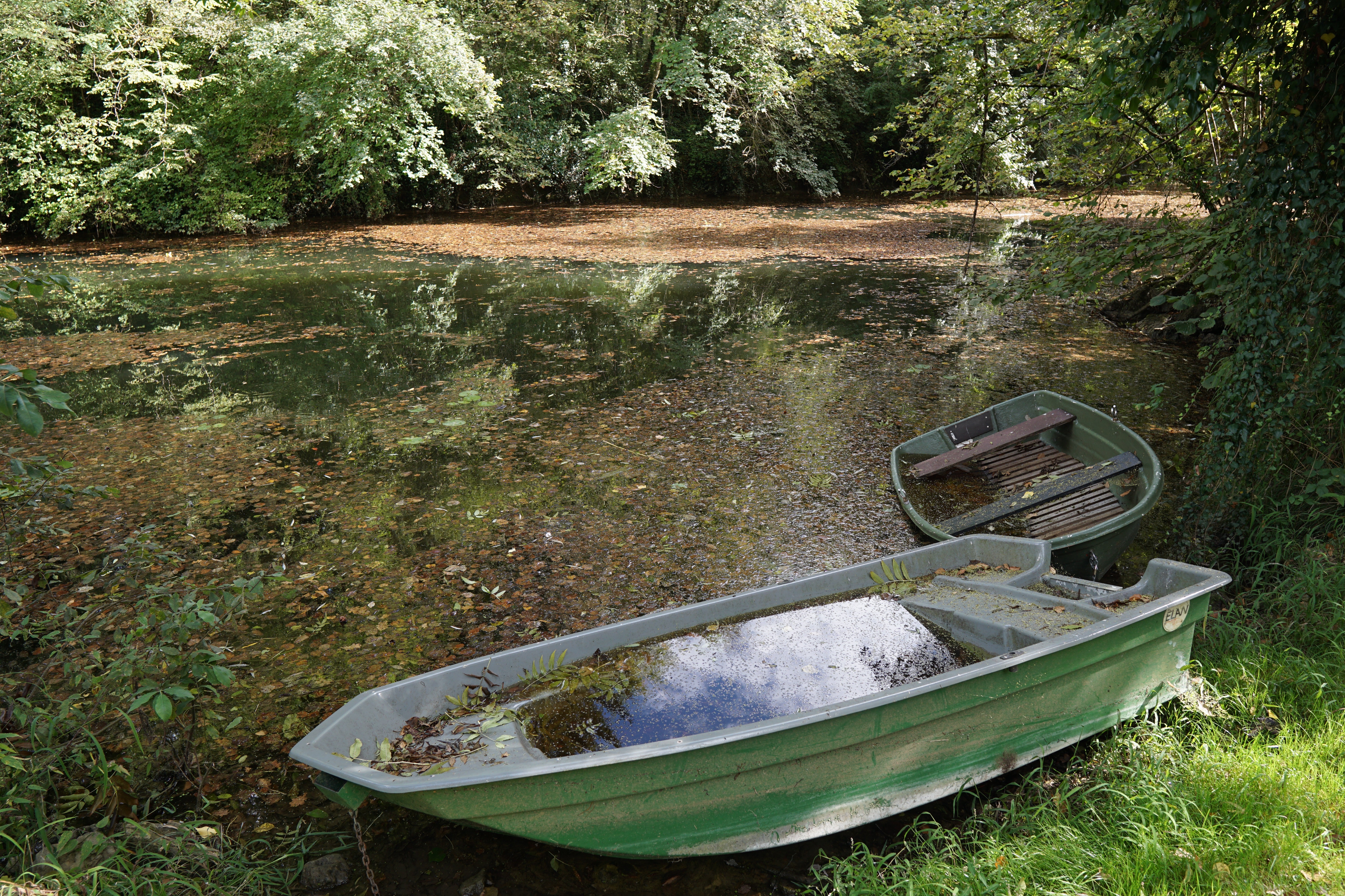 Swamp boats