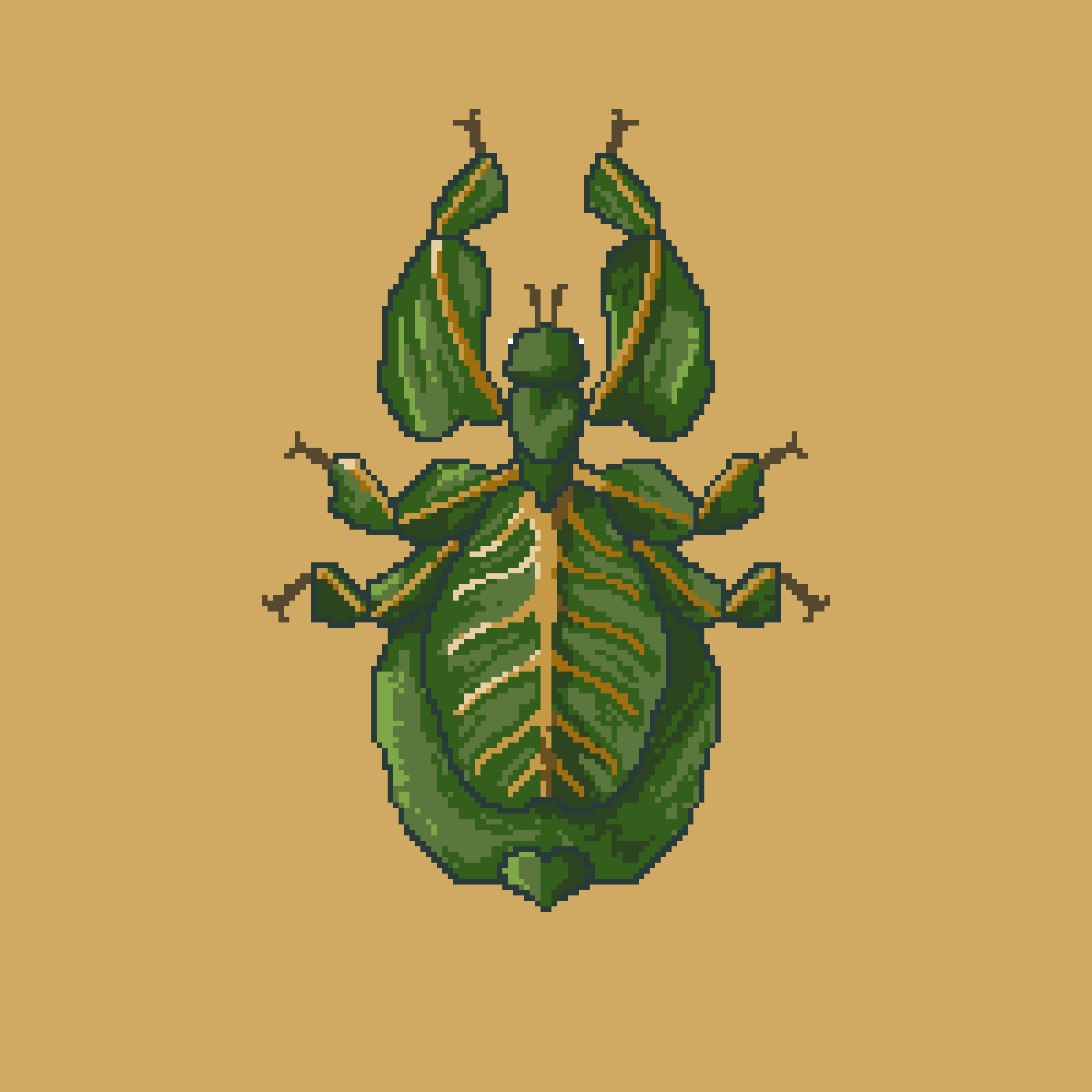 A Boring Leafbug