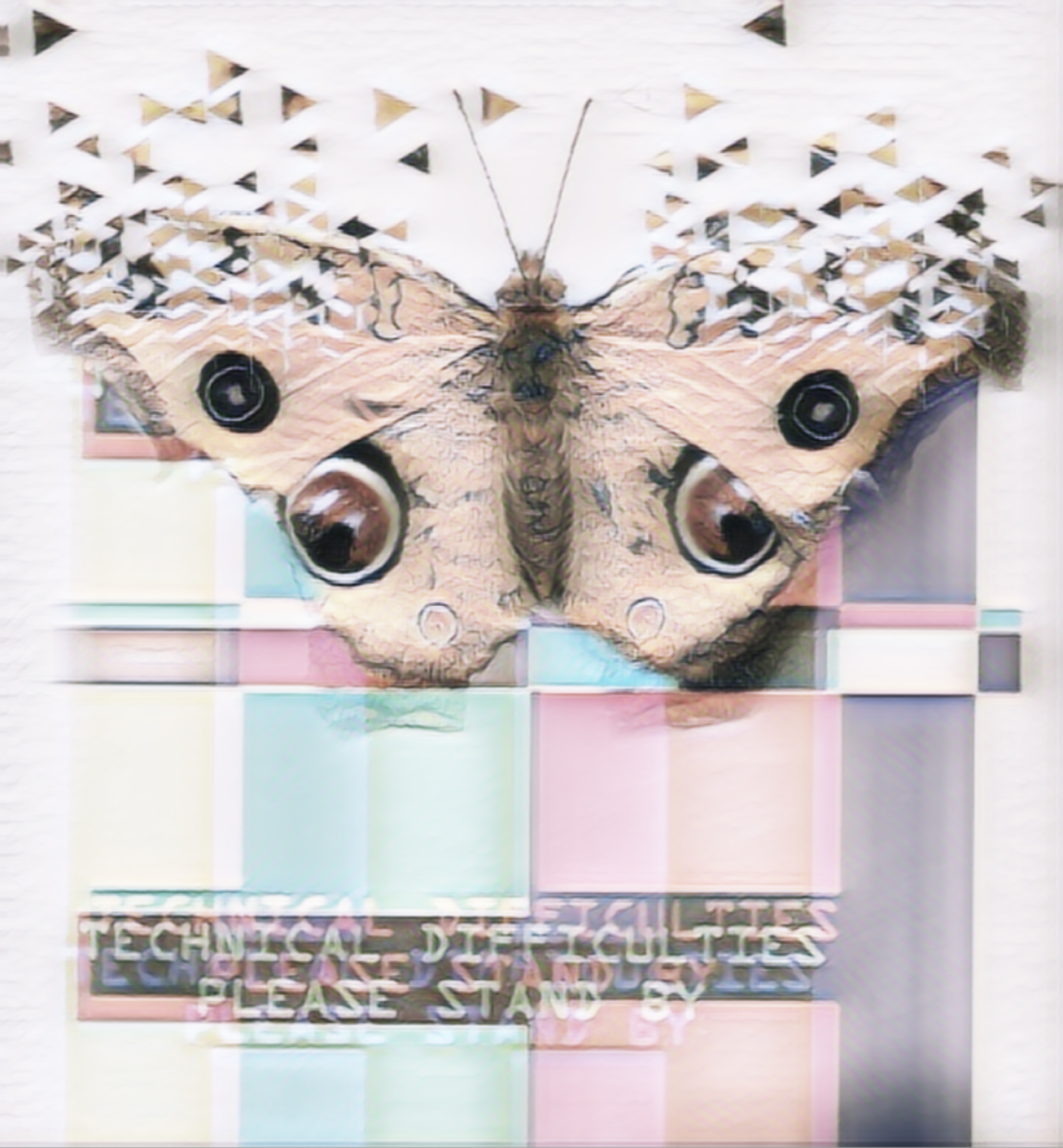 Minted Moth #15