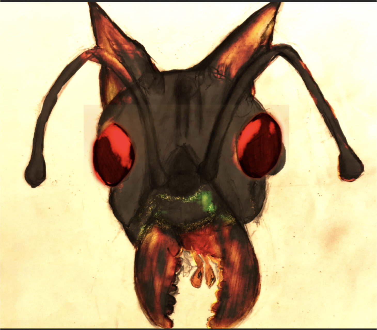 Ant Cat red eyes