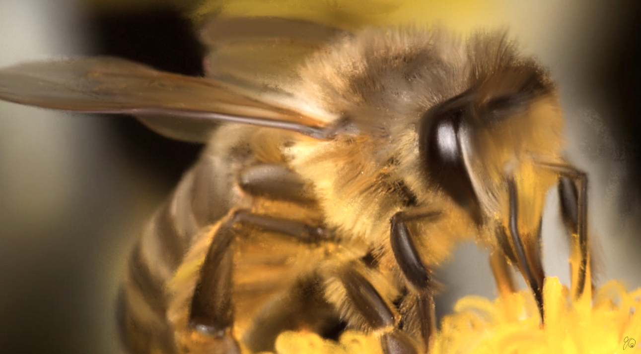 Bee Buzzing  🐝