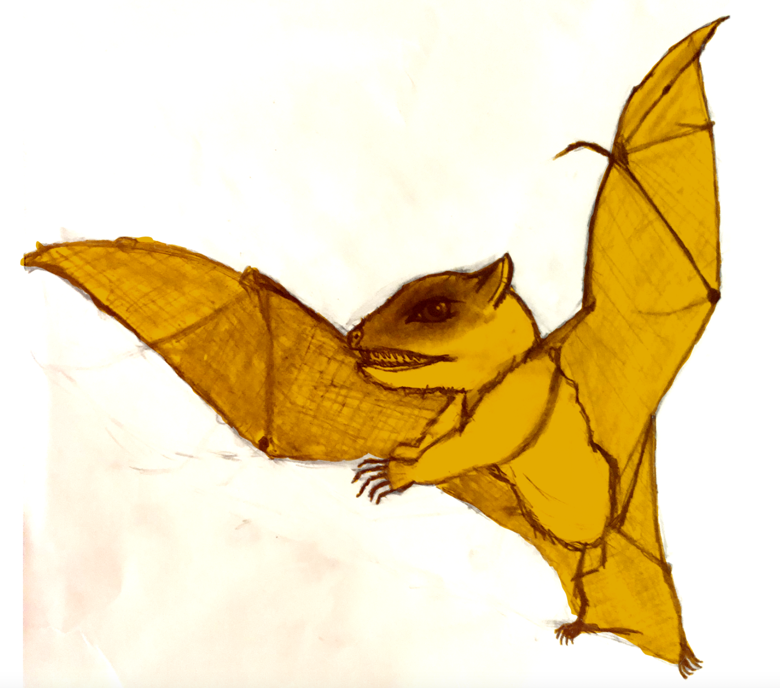Purgatorius Bat