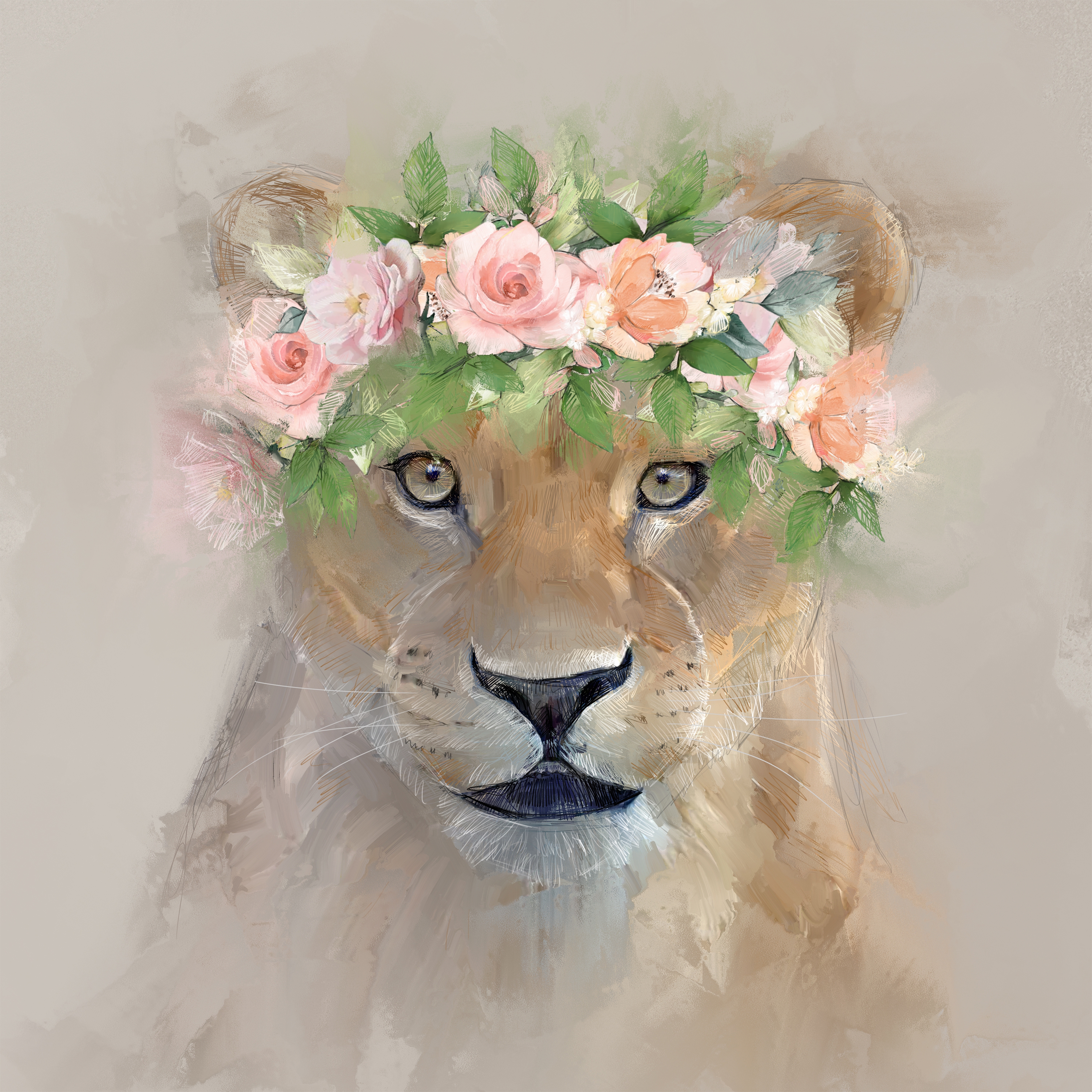 Solzoo Lioness