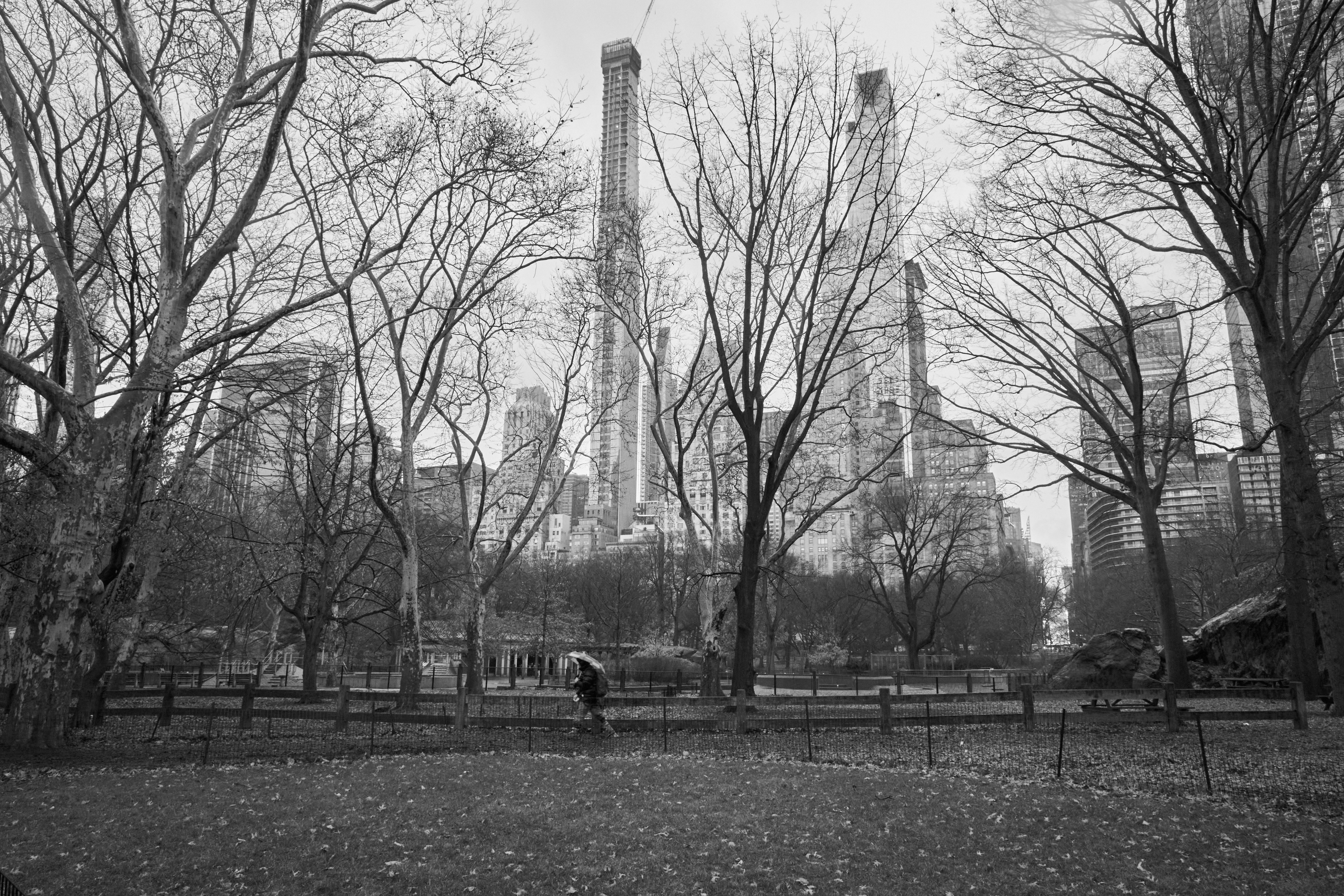 Central Park - NY2019 #2