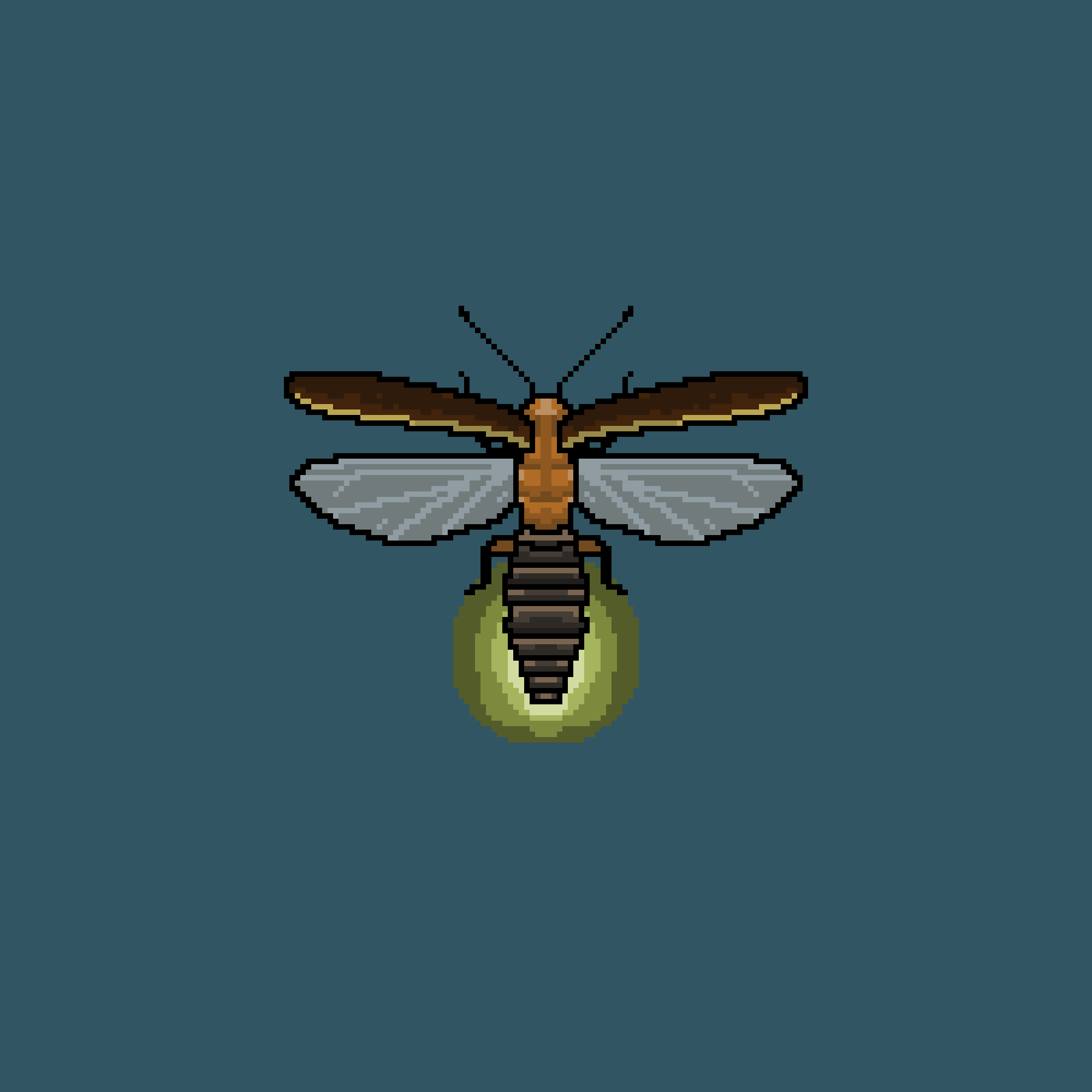 A Boring Firefly