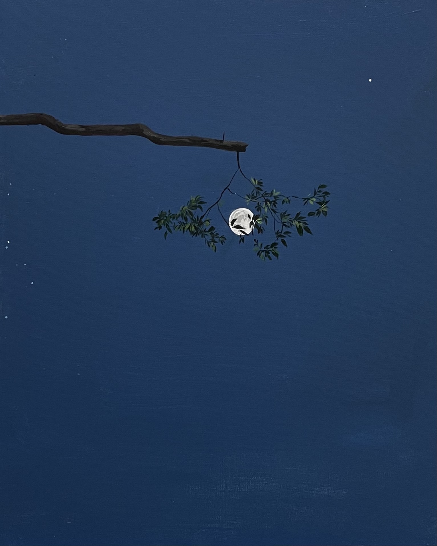 Lonely Moon #4