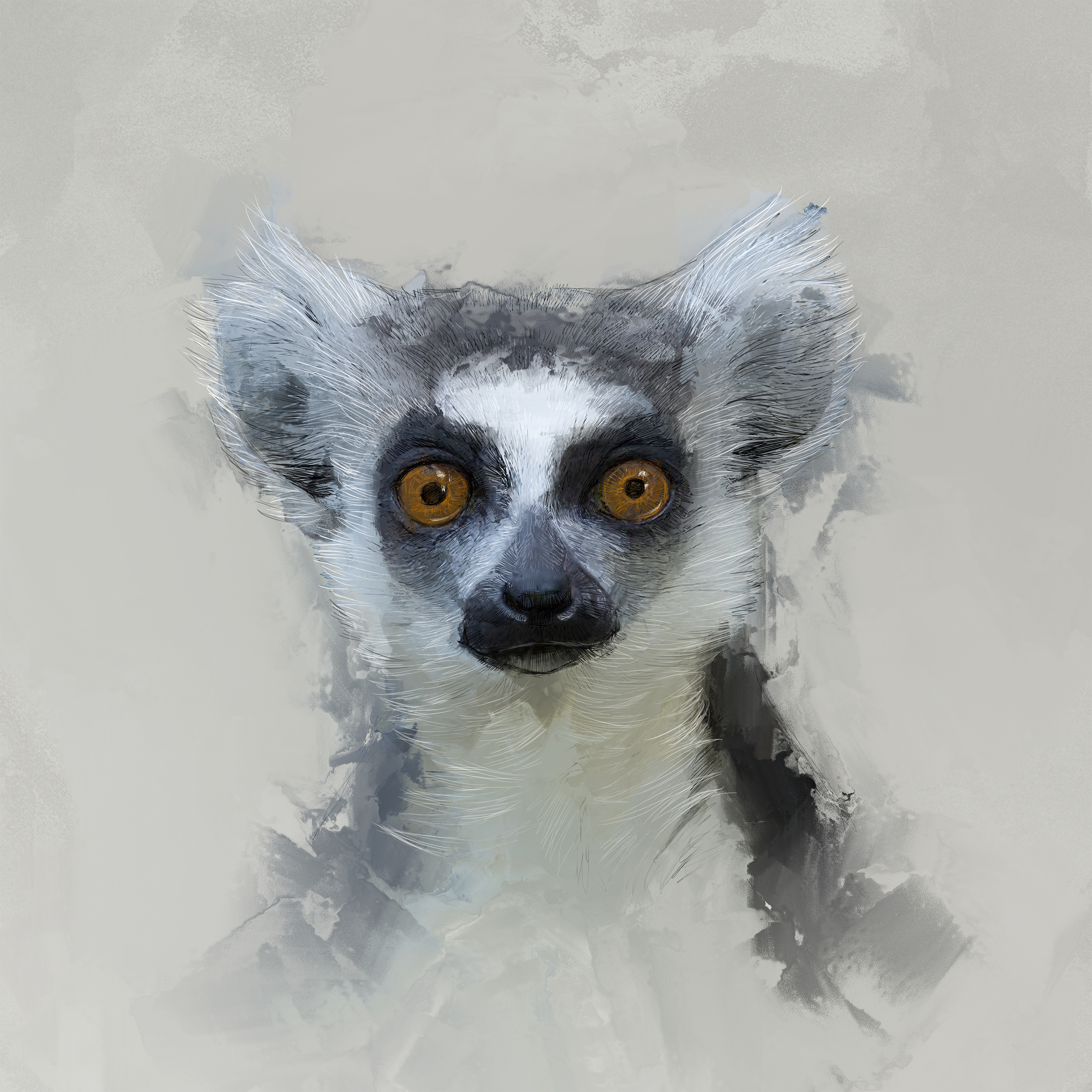 Solzoo Lemur