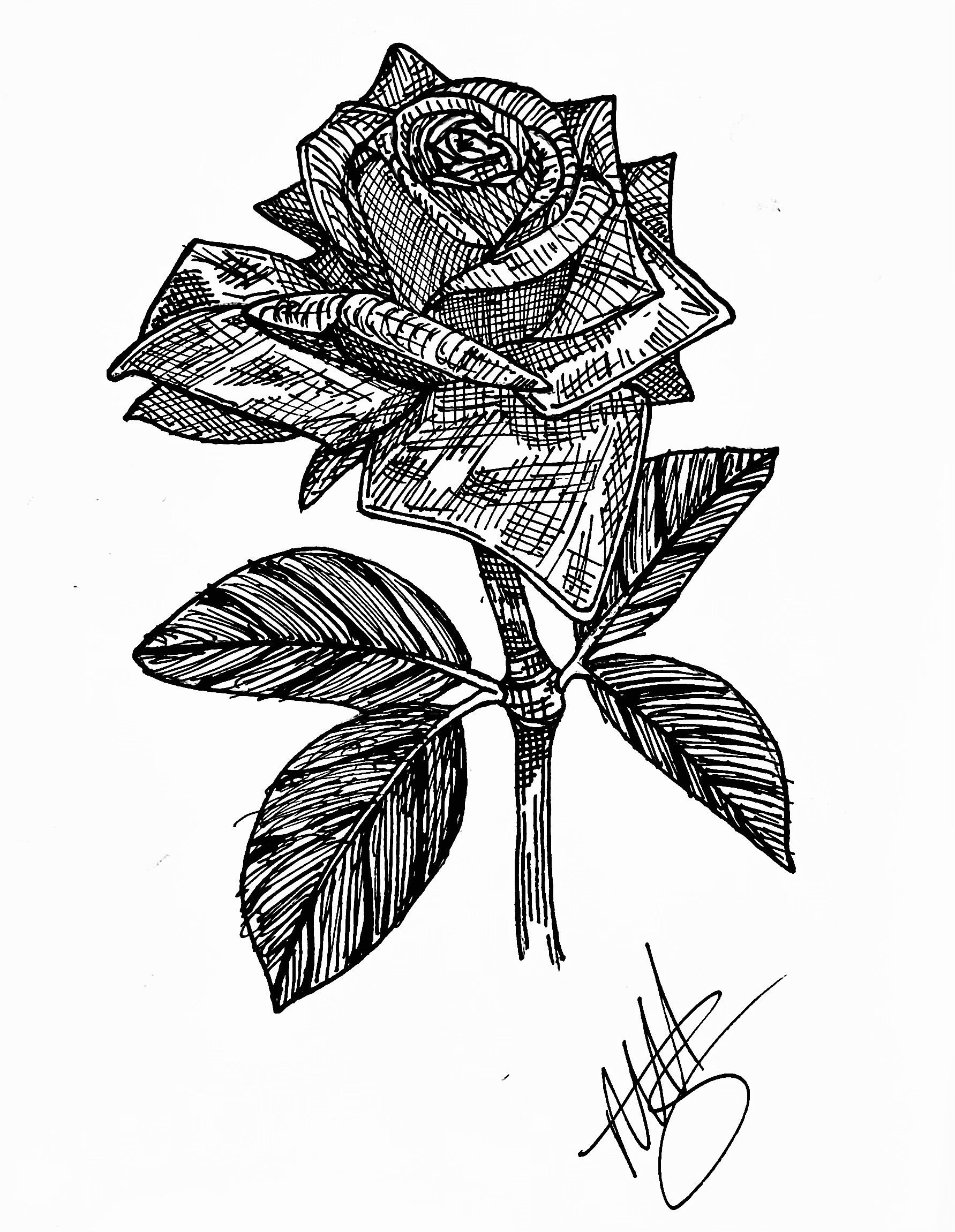 Detailed Rose #1/1