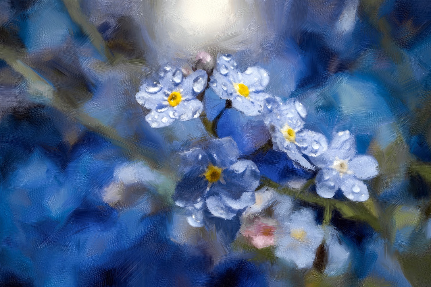 Forget-me-not flower drawing