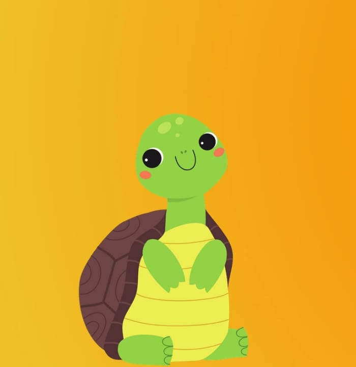Turtle#1