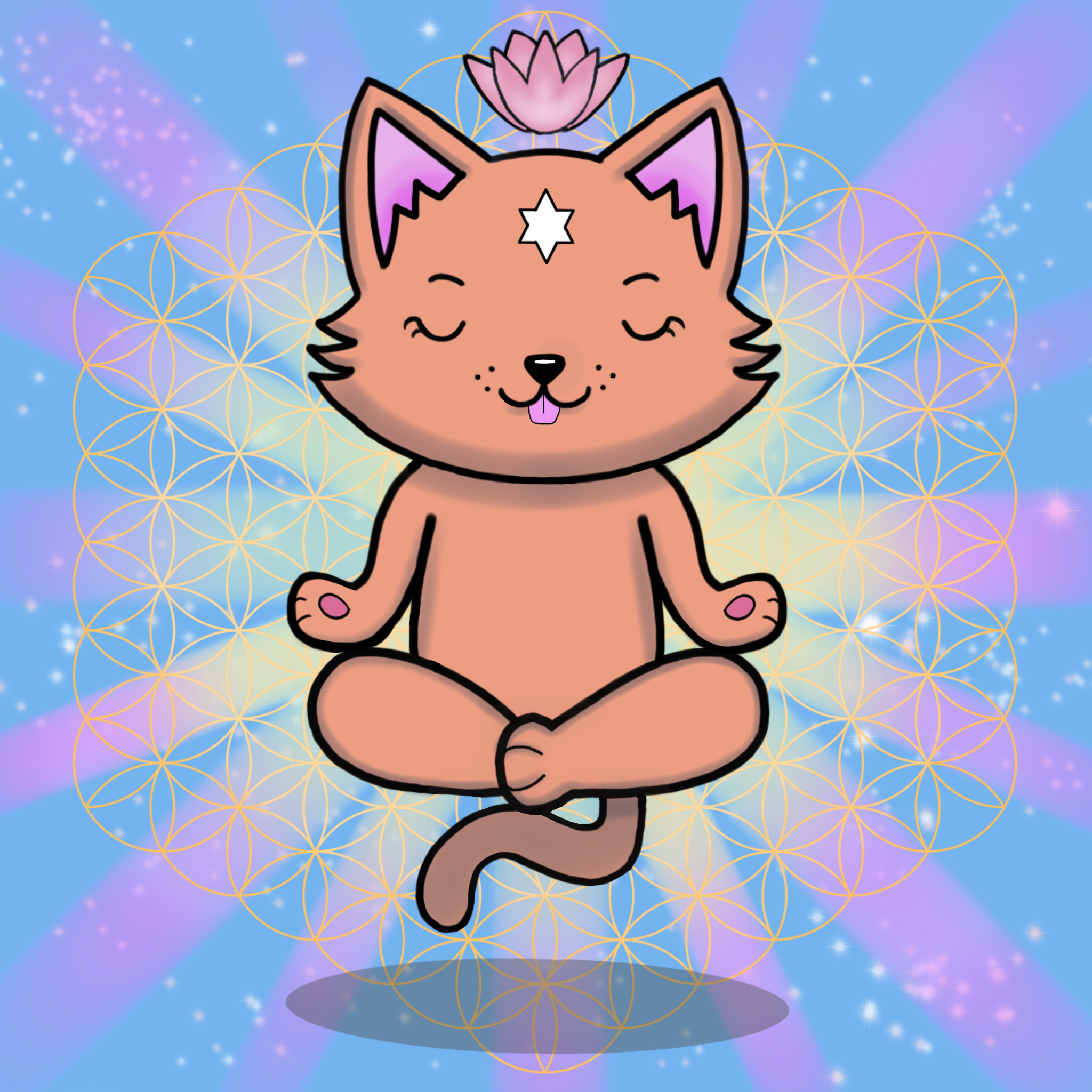 Meditating Kitten 20