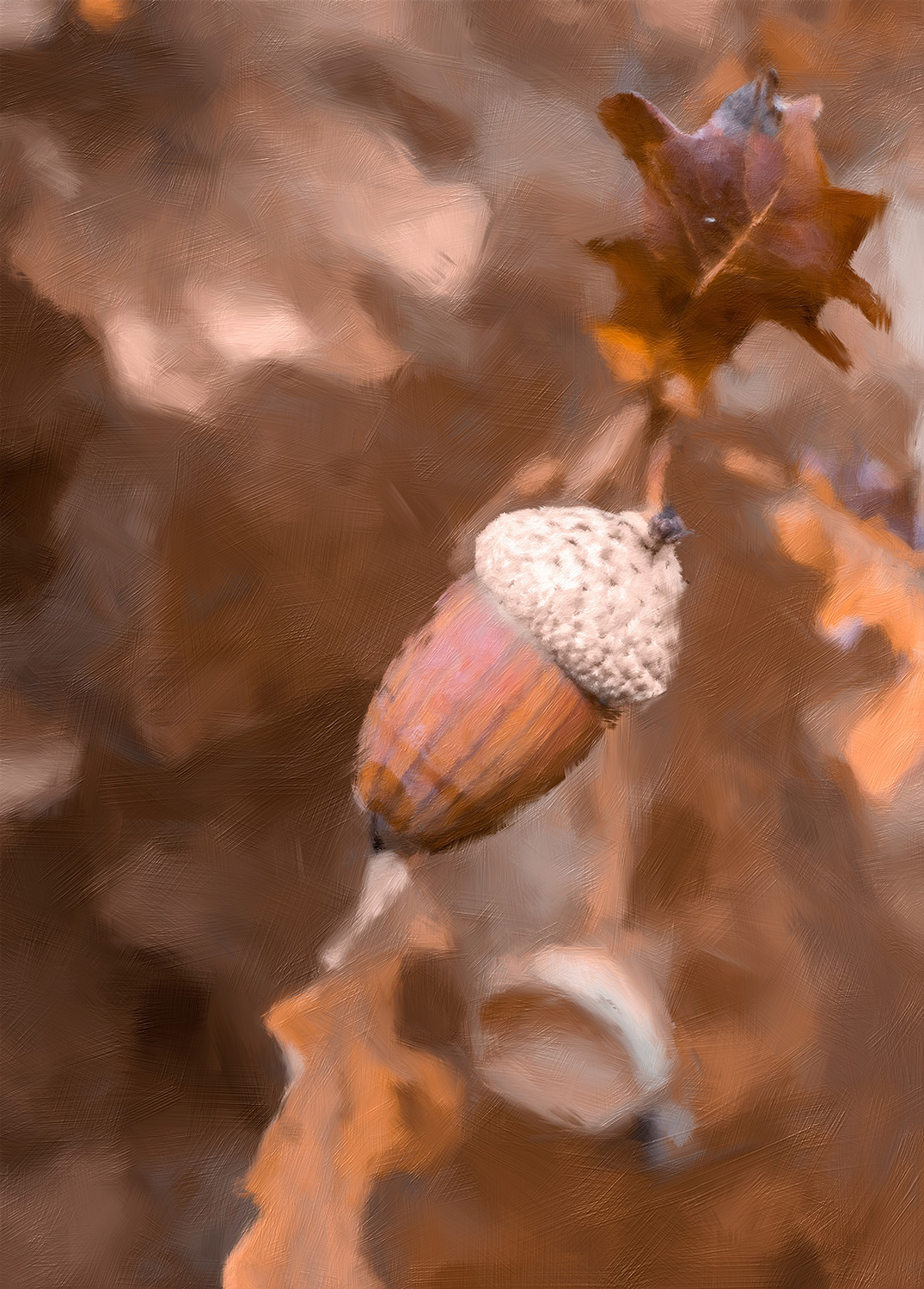 Acorn in the autumn forest
