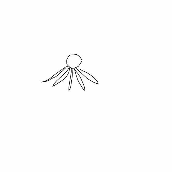 Ai Drawing Octopus