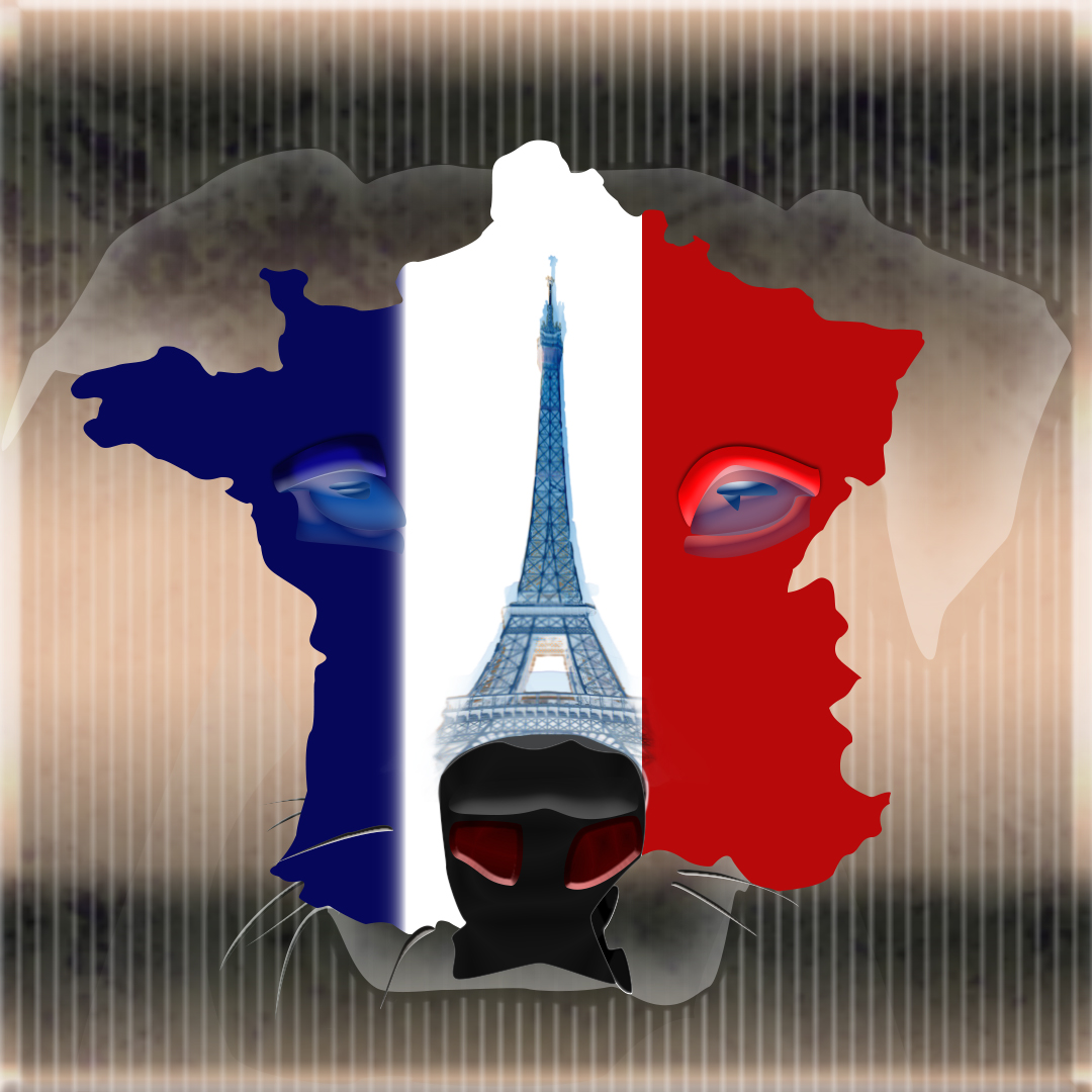 CryptoAmStaff #012 France