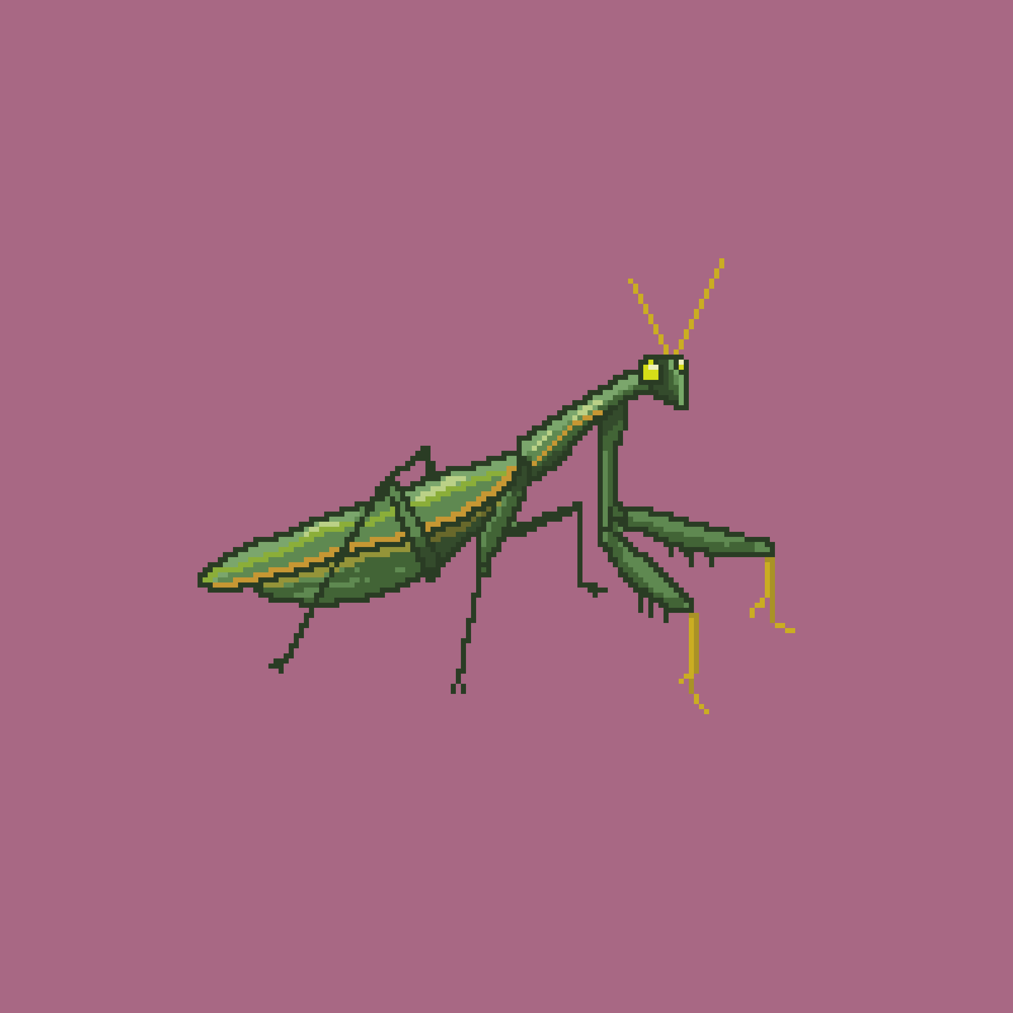 A Boring Mantis
