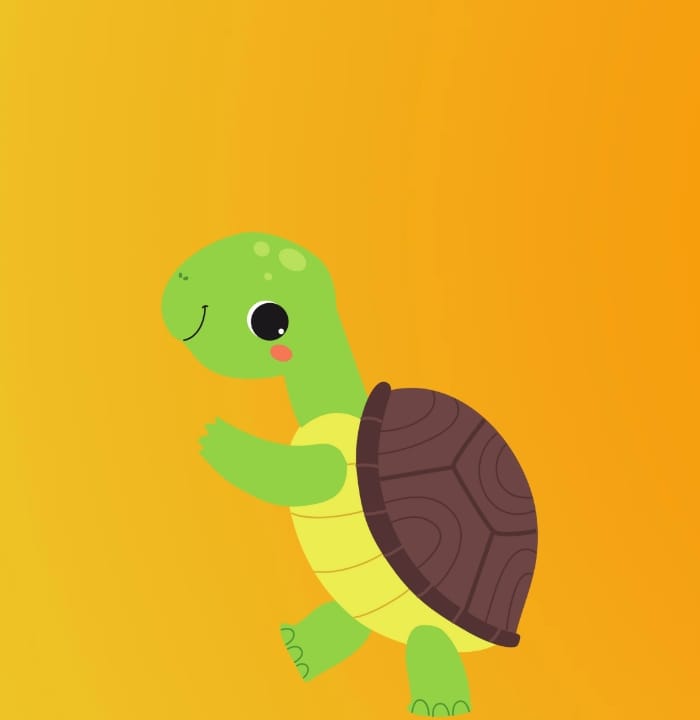 Turtle#2