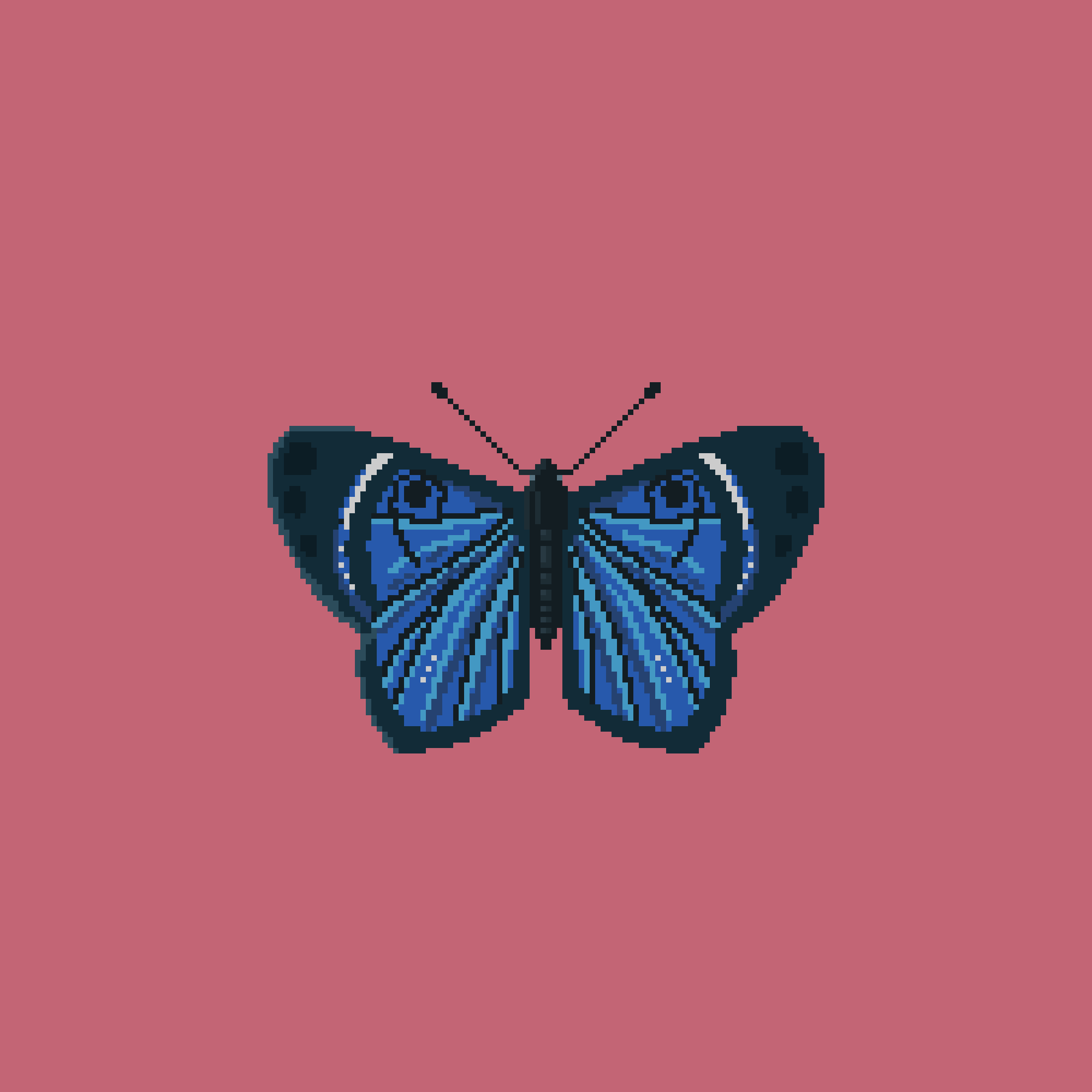 A Boring Butterfly