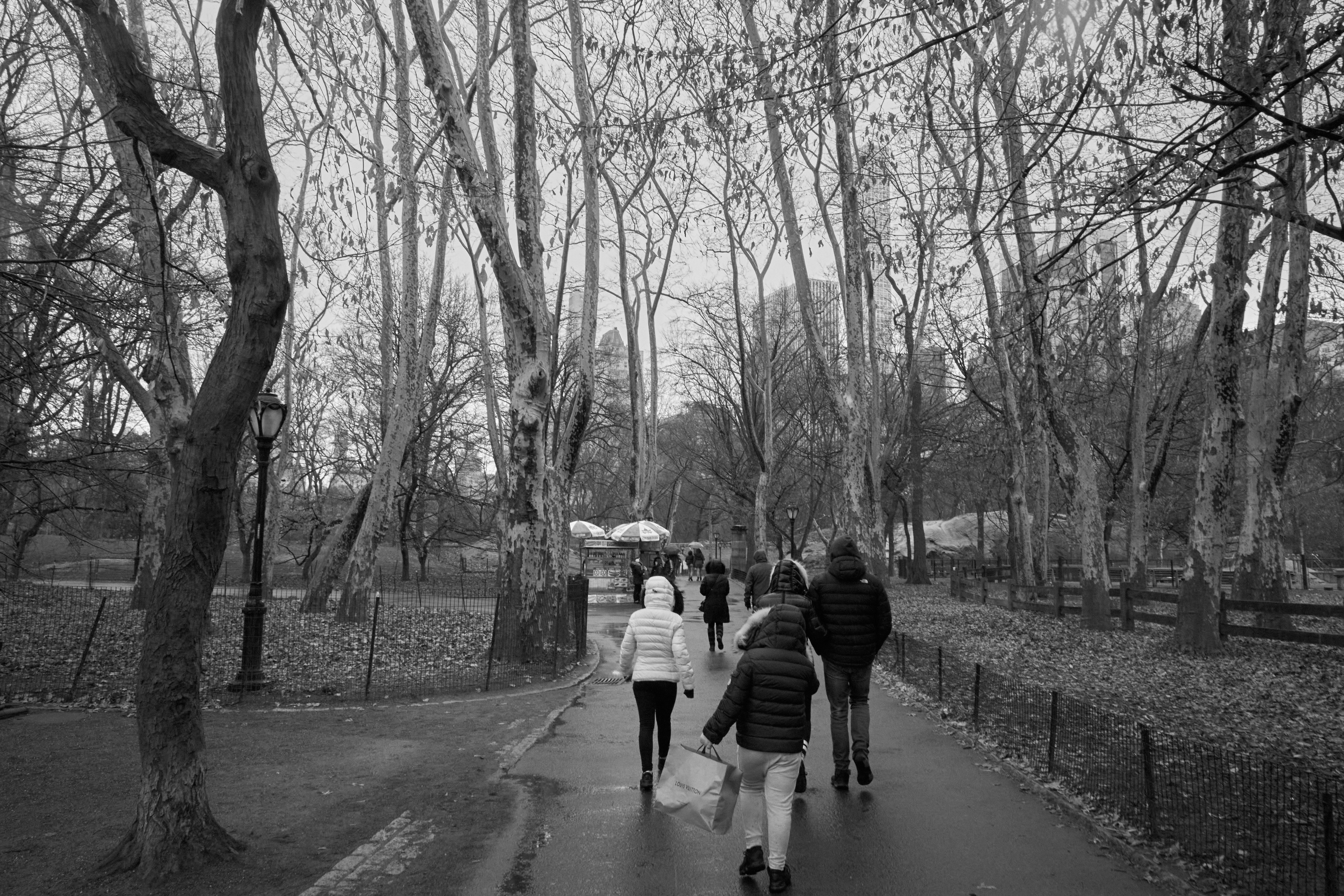 walking at the Park - NY2019 #19