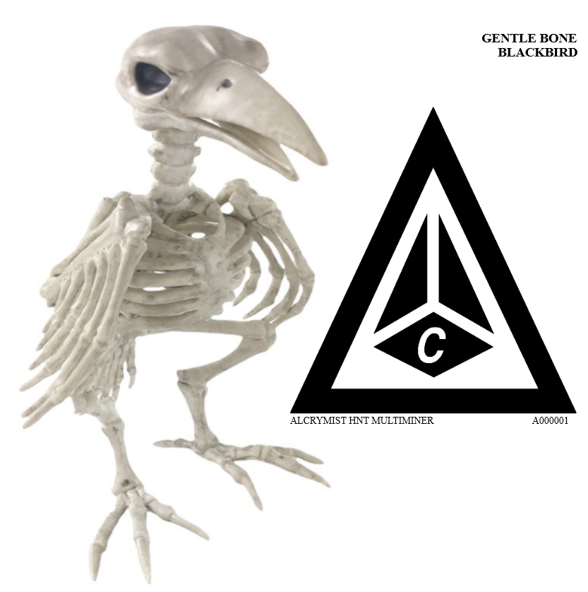 Gentle Bone Blackbird