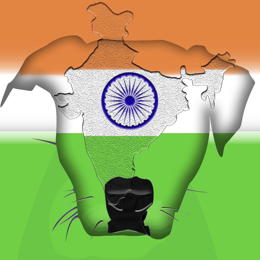 CryptoAmStaff #014 India