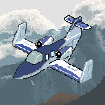Private Jet #8