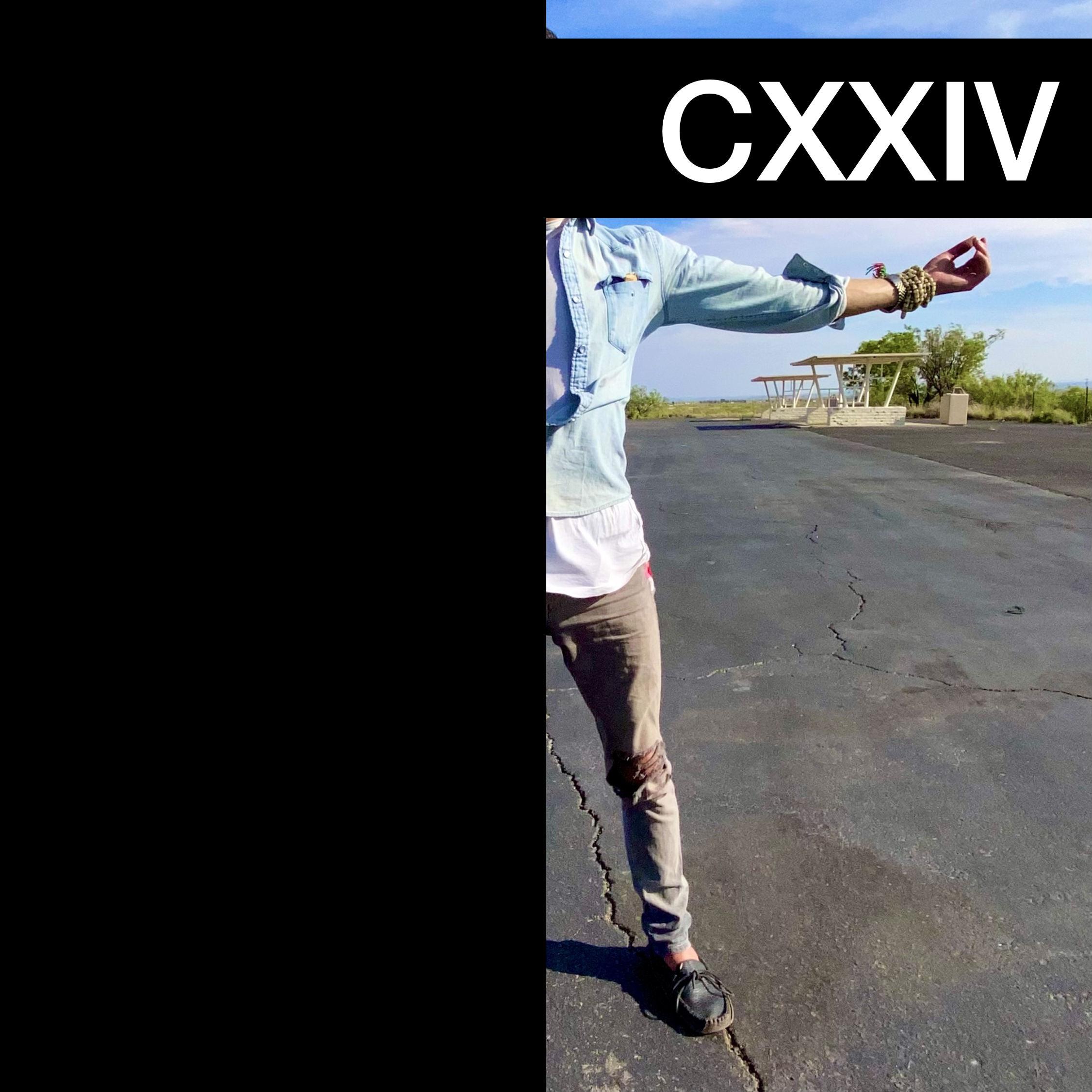 #CXXIV