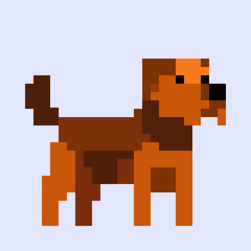 terrier pixi dog