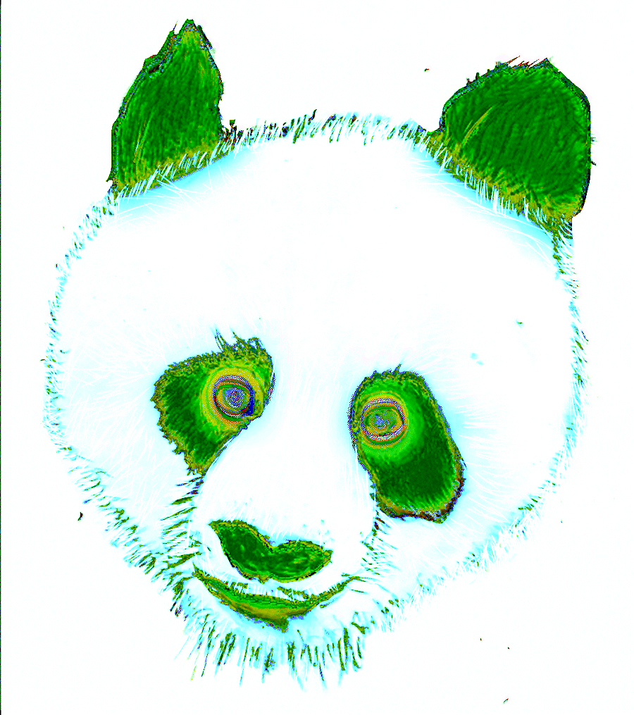Panda Green Eyes