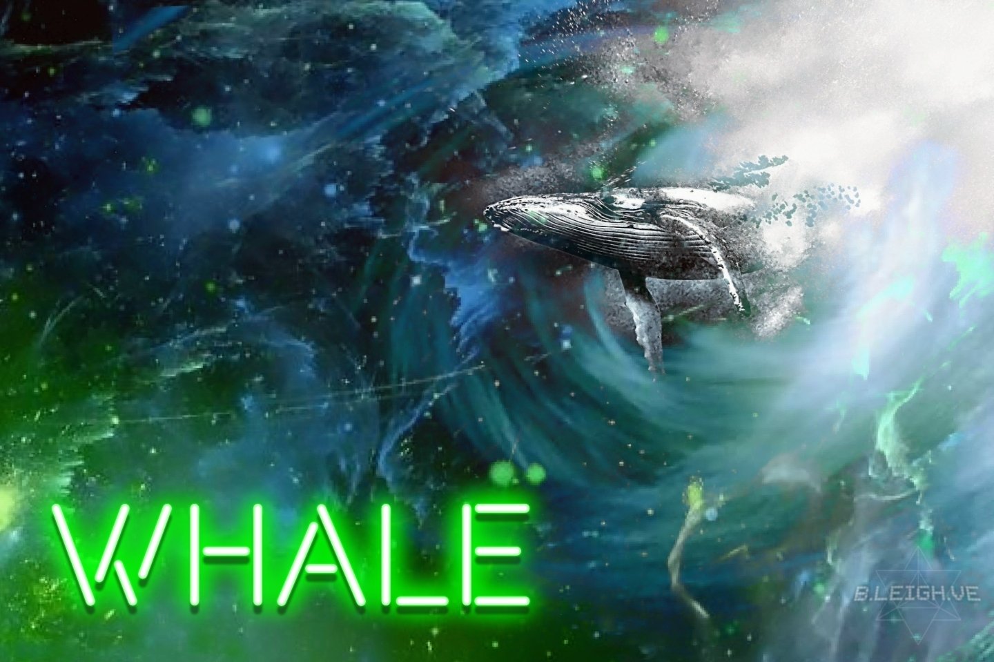 whale alert