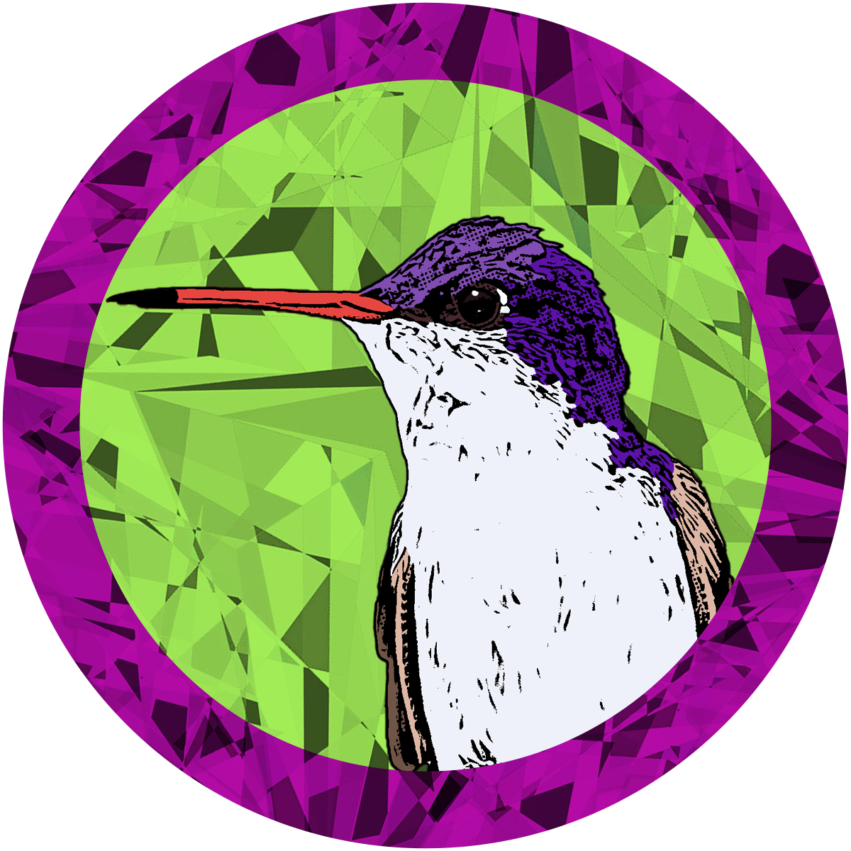 #8 Violet-Crowned Hummingbird