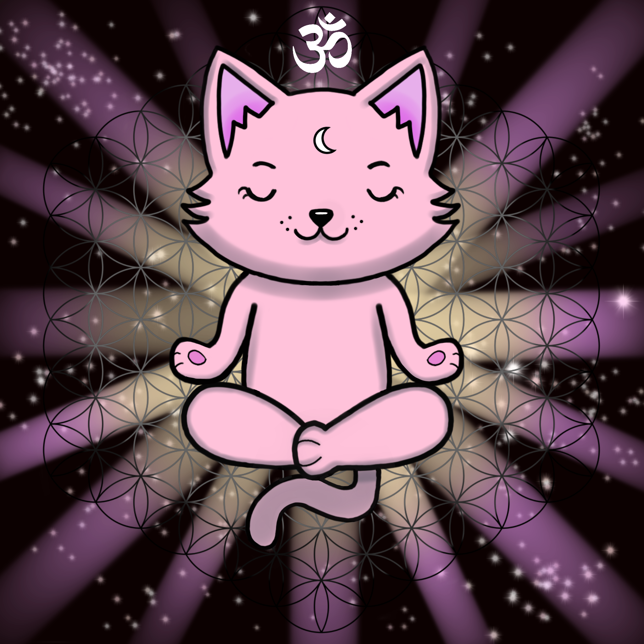 Meditating Kitten 27