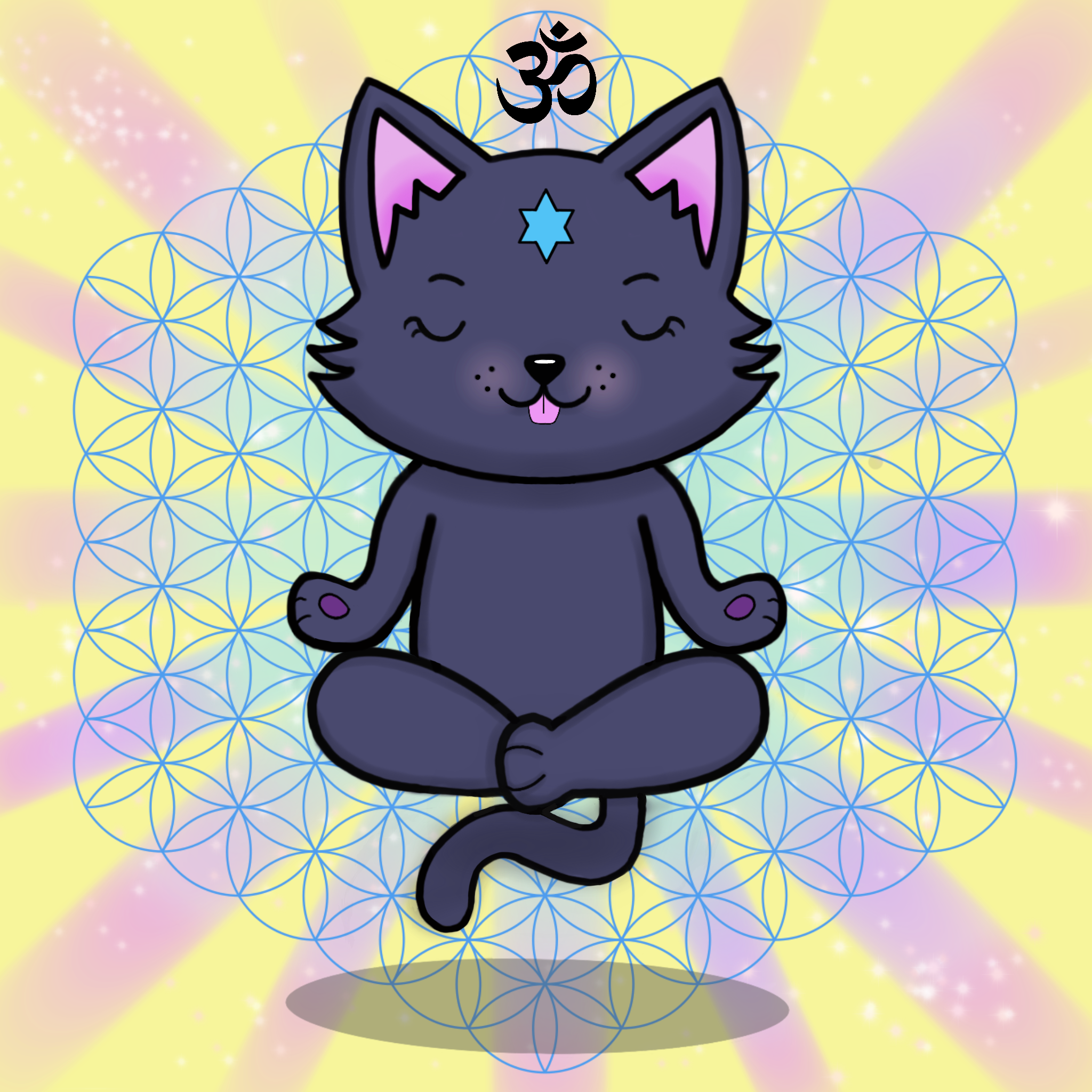Meditating Kitten 12
