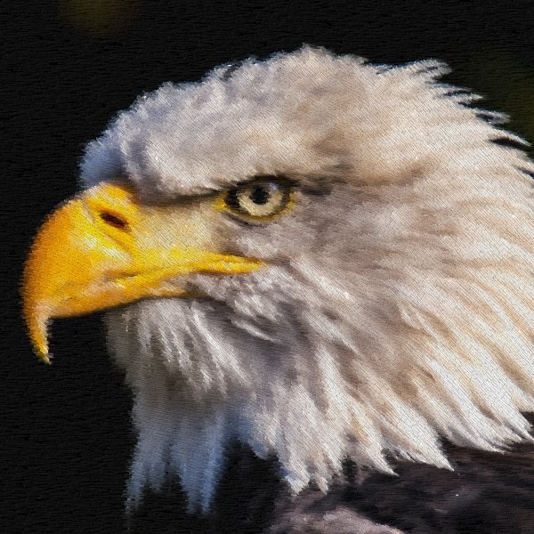 #005 Eagle