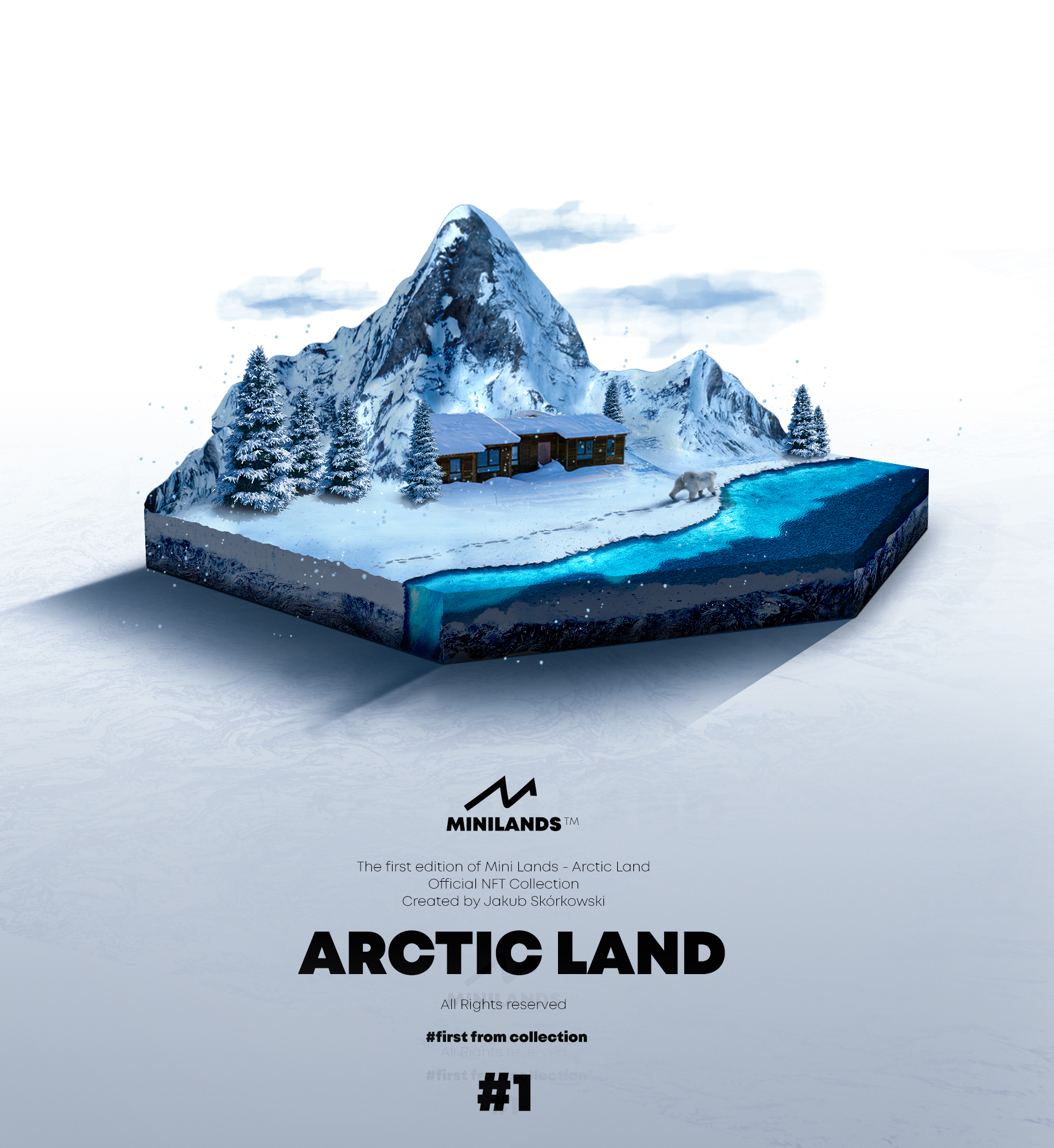 #1 Arctic Land