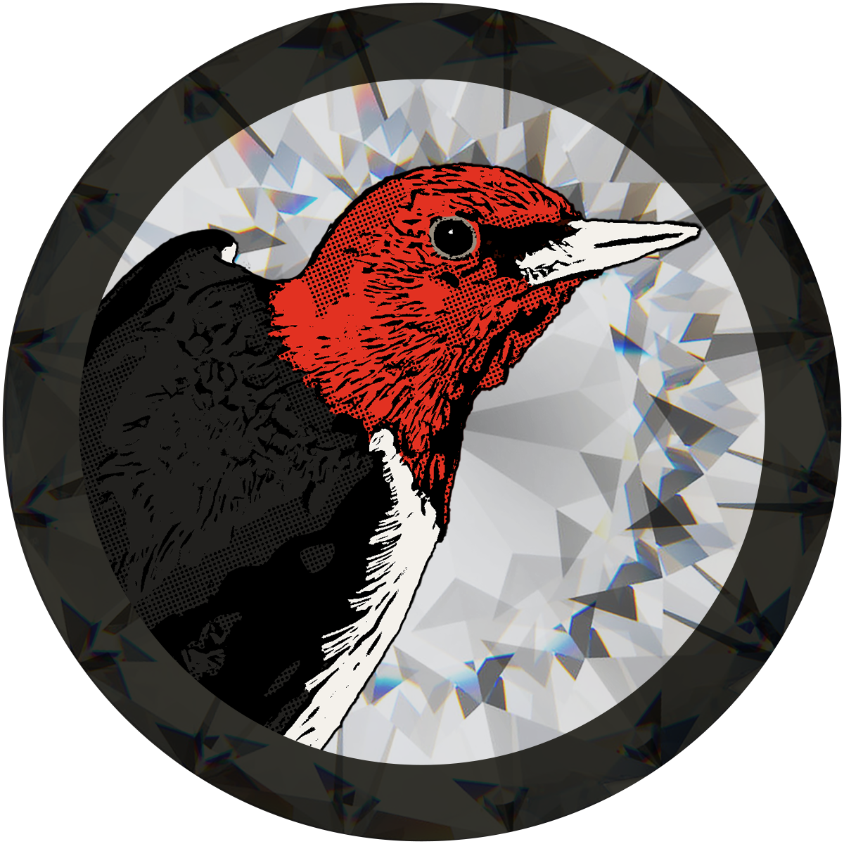 #5 Red-Headed Woodpecker