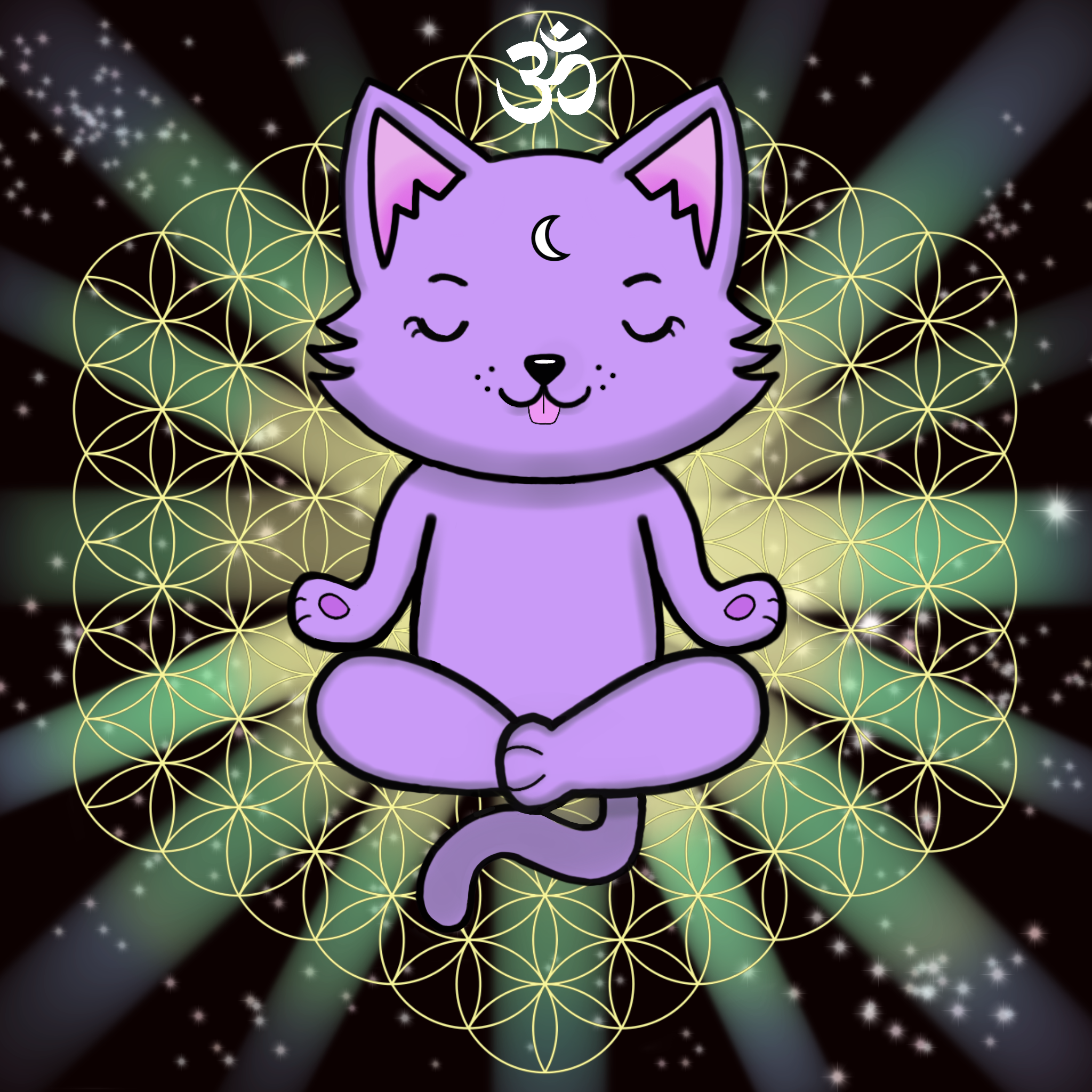 Meditating Kitten 19