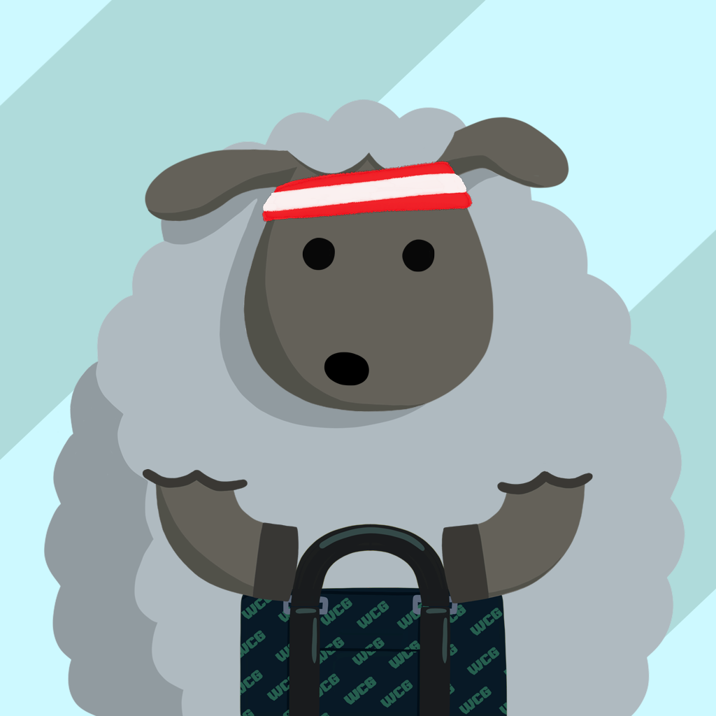 sheep_854