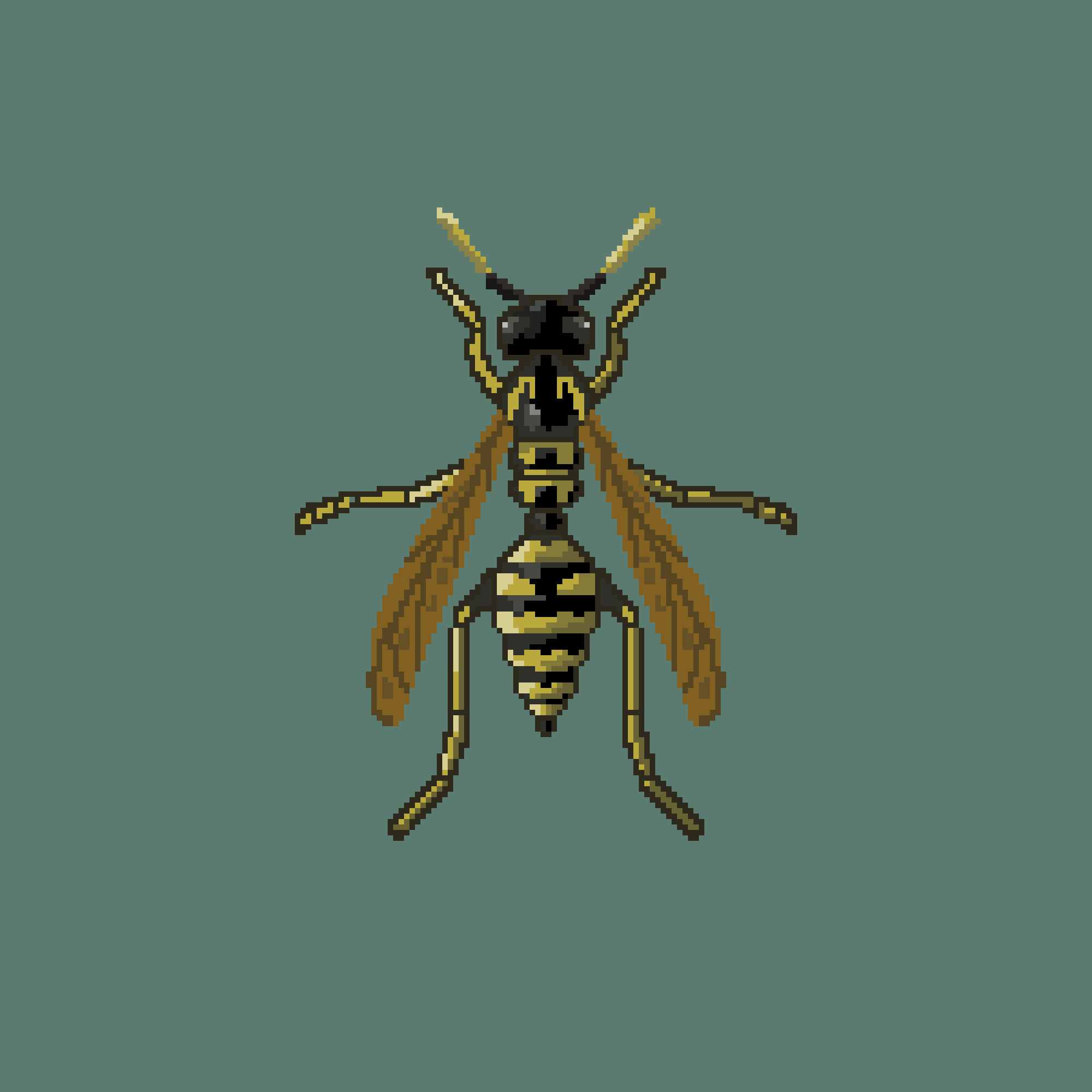 A Boring Wasp
