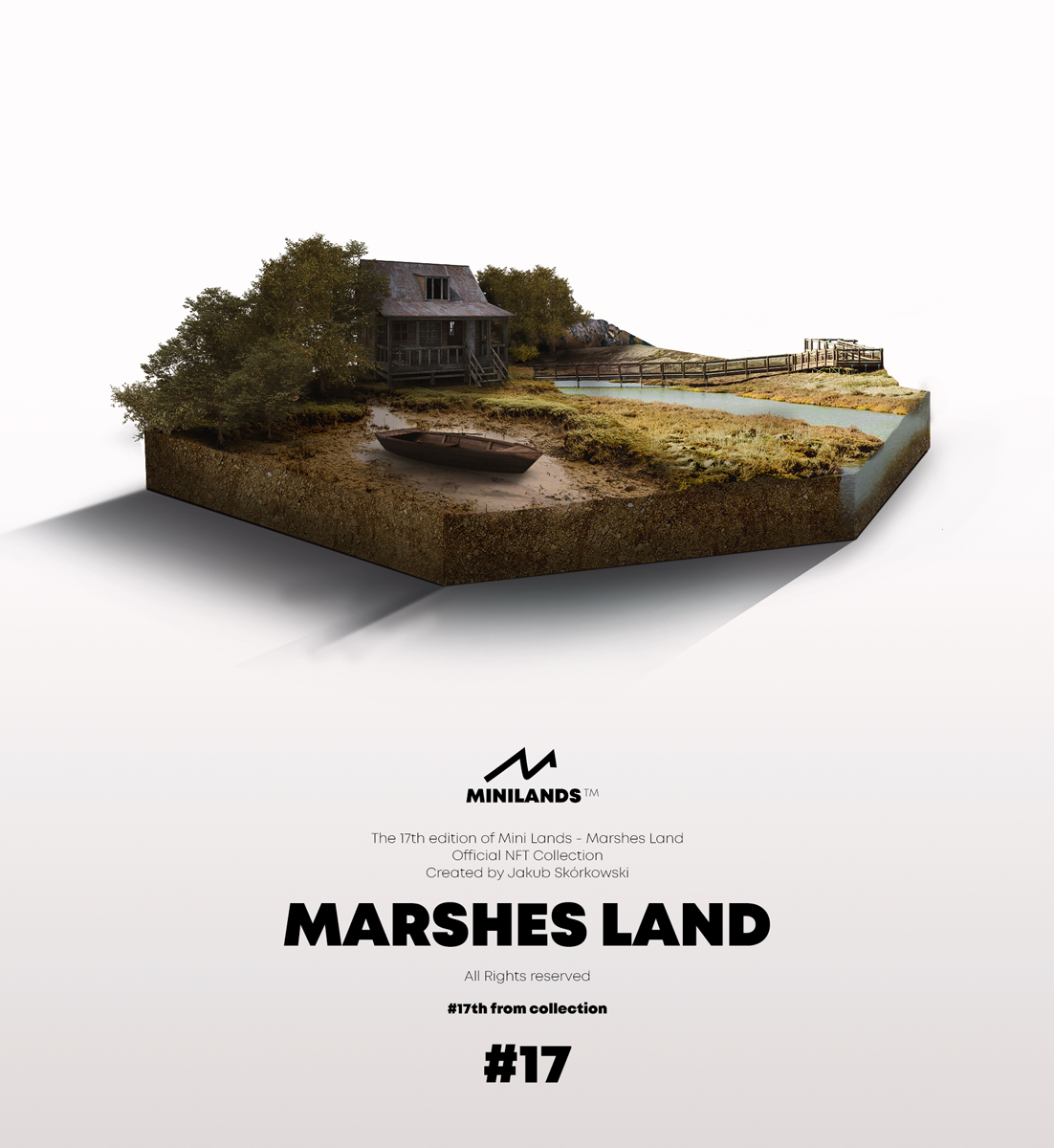 #17 MARSHES LAND