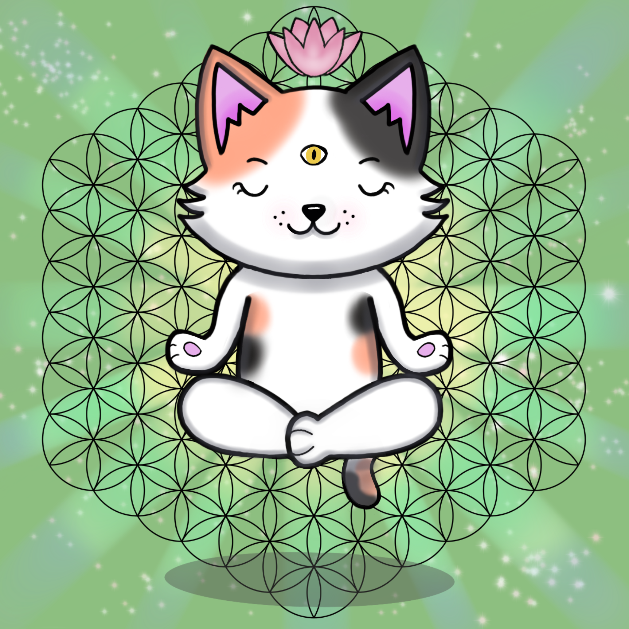 Meditating Kitten 07