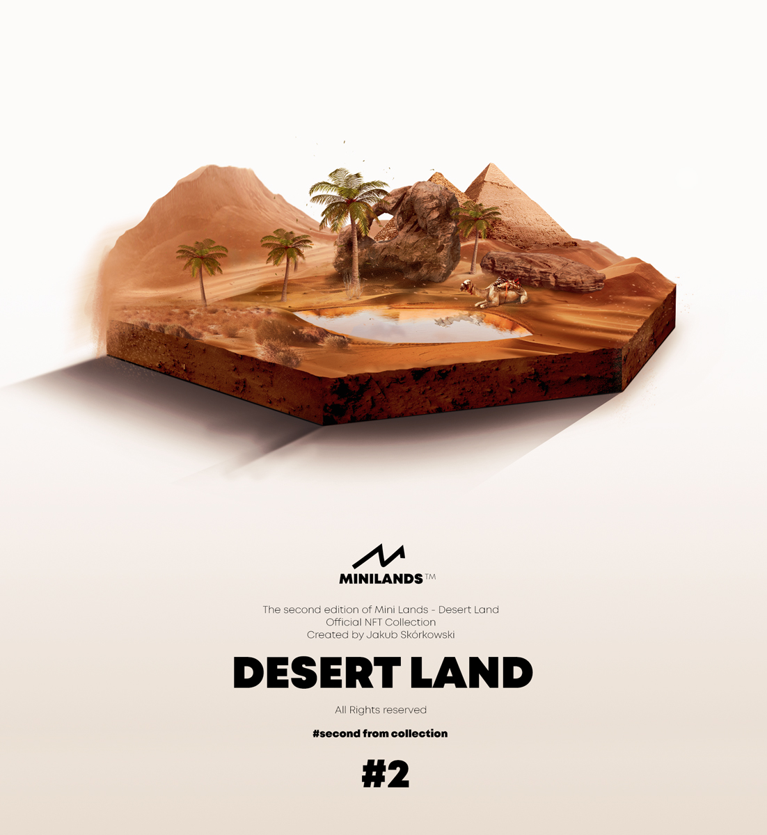 #2 DESERT LAND