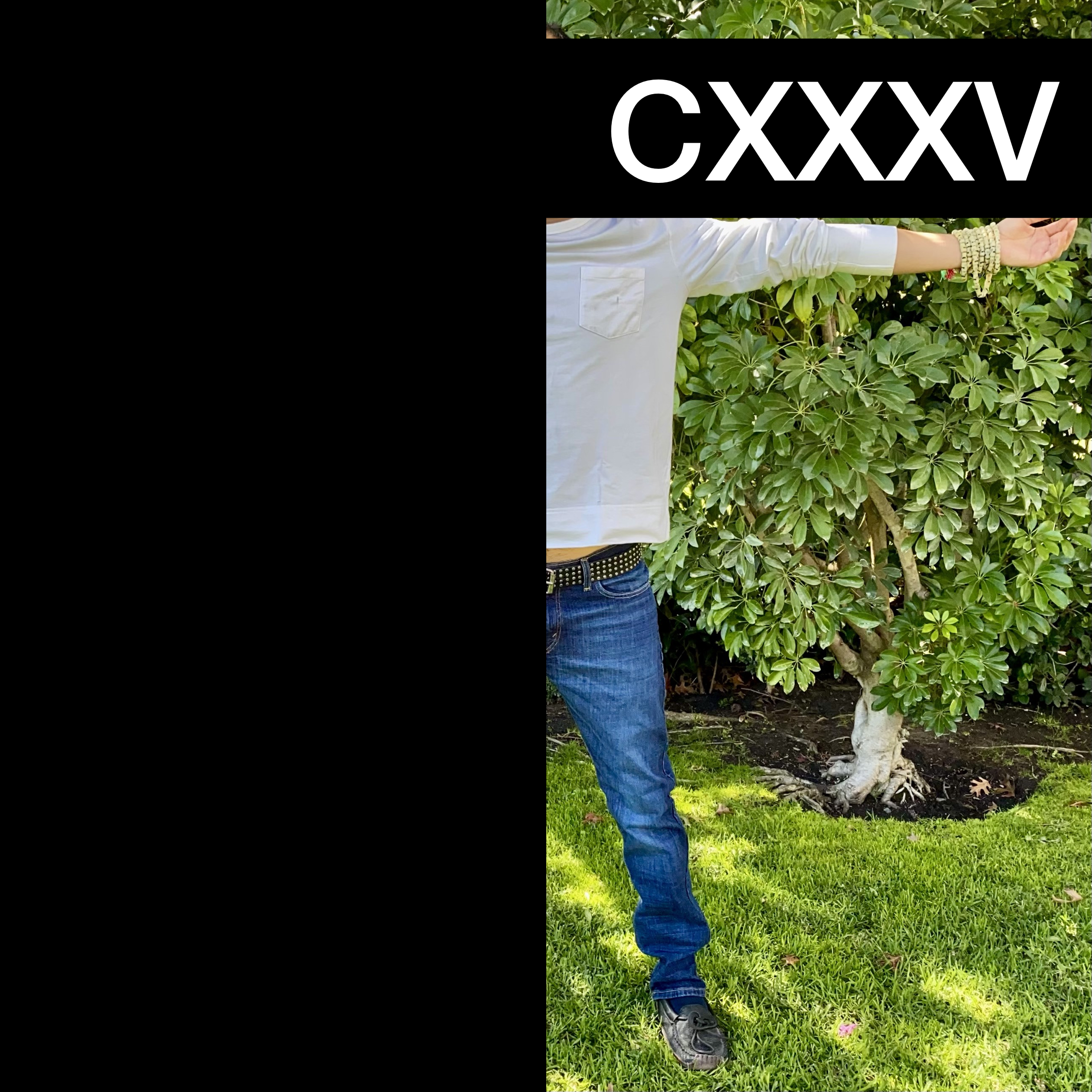 #CXXXV