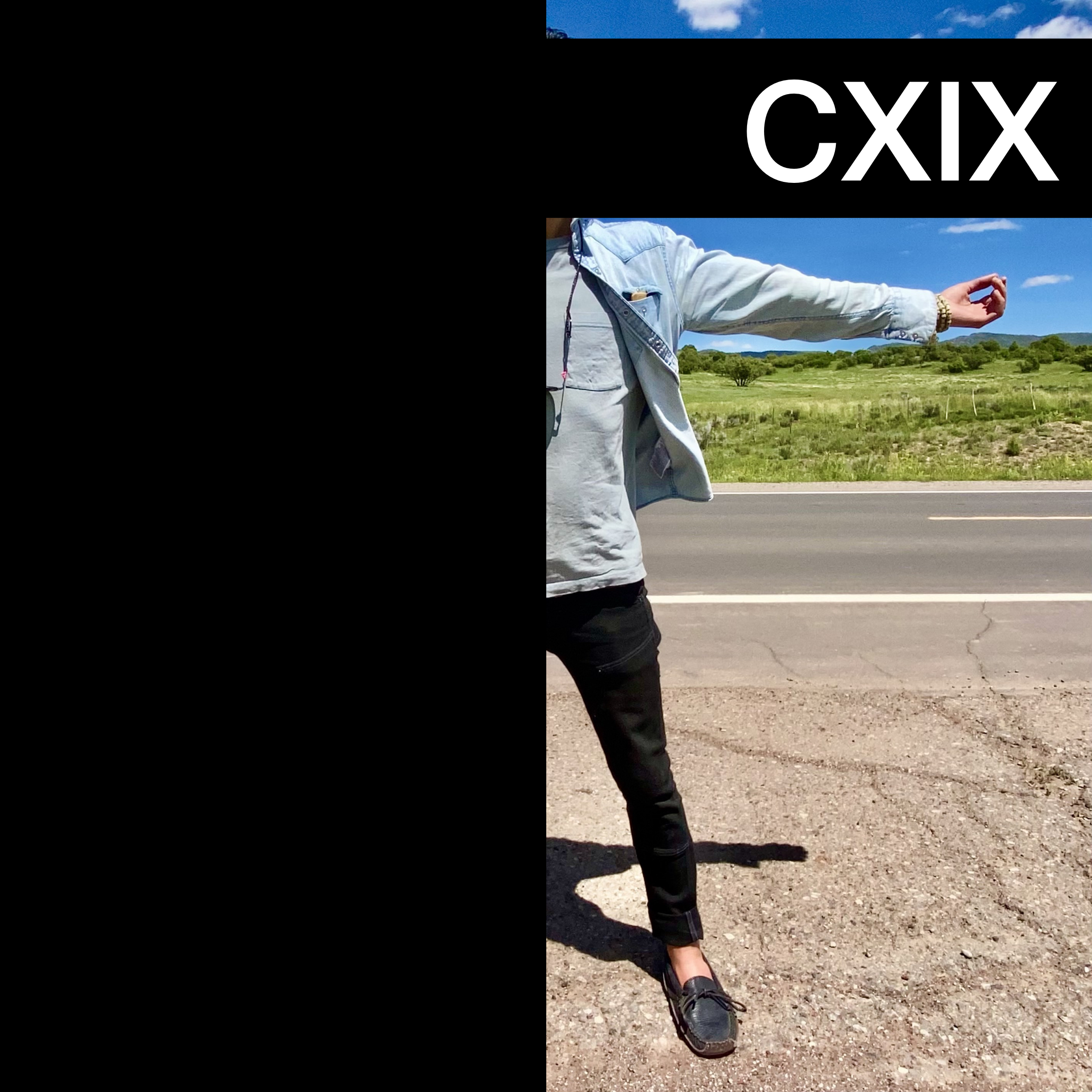 #CXIX