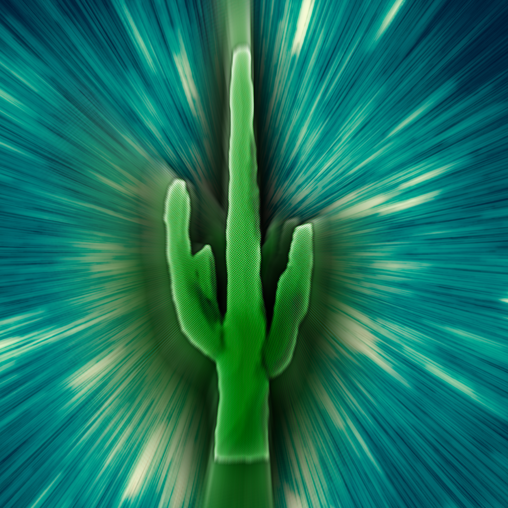 Time Travel Cactus
