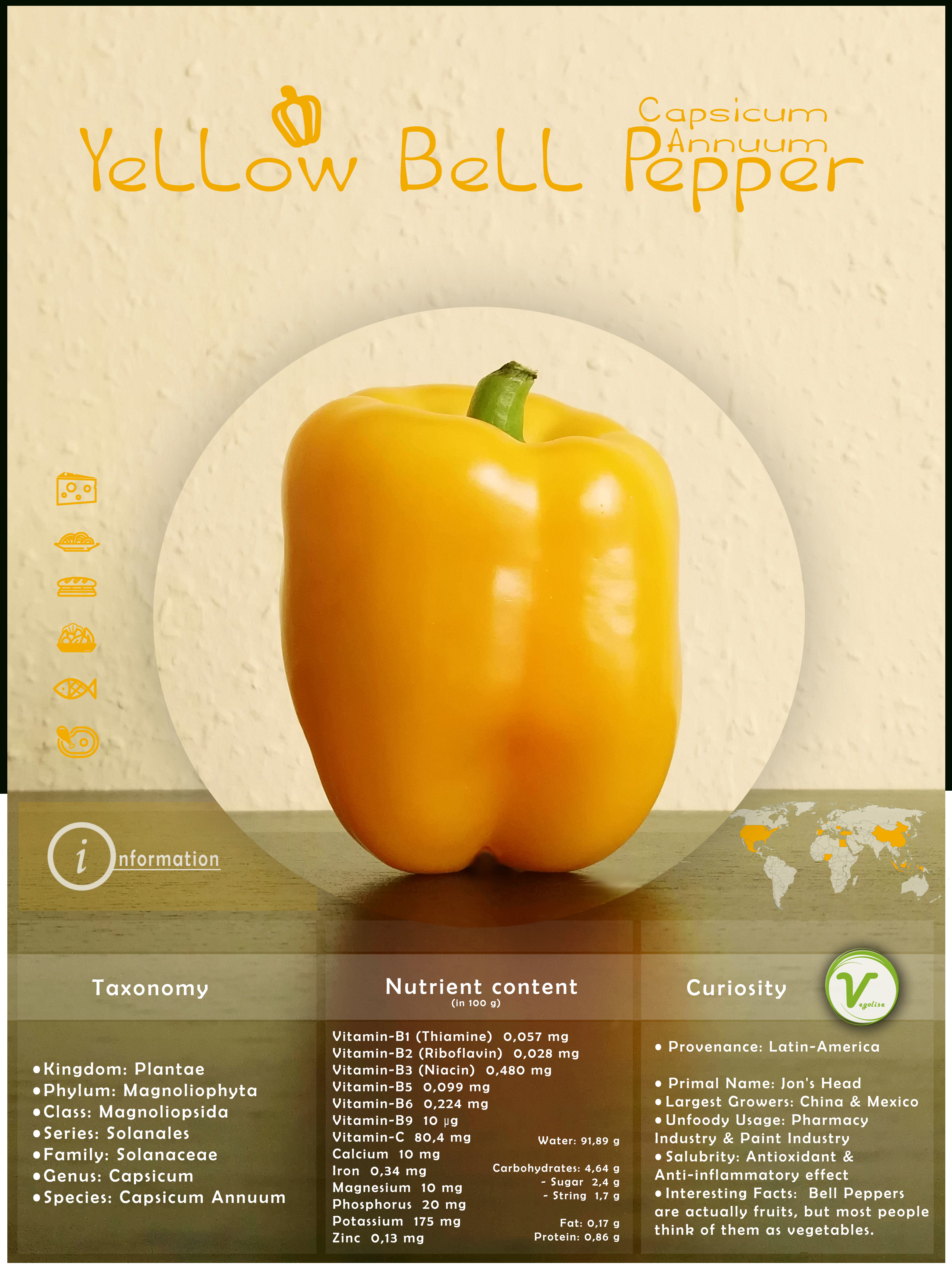 Bell Pepper - Yellow