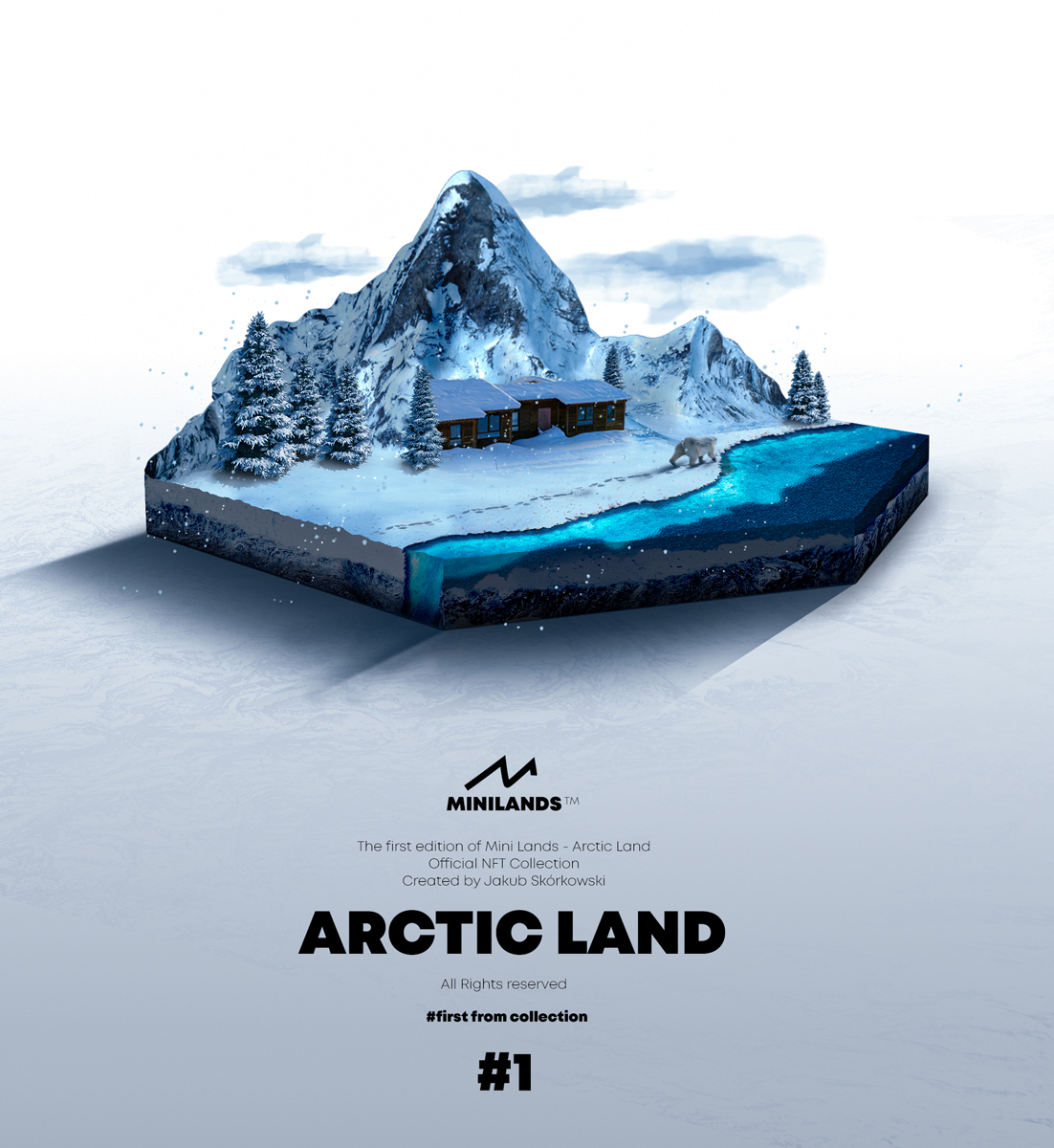 #1 ARCTIC LAND 